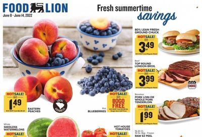 Food Lion (SC) Weekly Ad Flyer June 9 to June 16