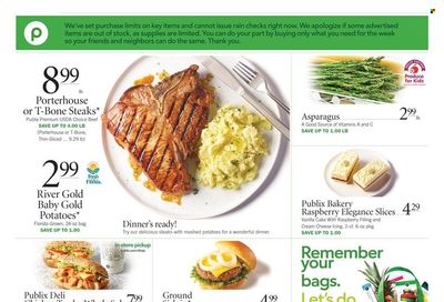 Publix (AL, FL, GA, NC, SC, TN) Weekly Ad Flyer June 9 to June 16