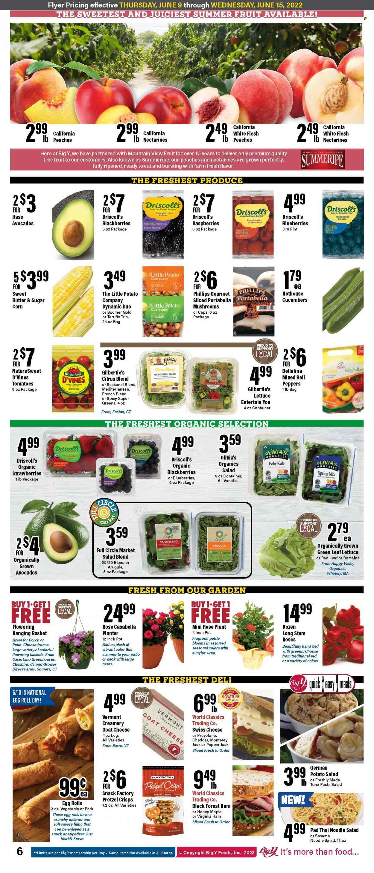Big Y (CT) Weekly Ad Flyer June 9 to June 16
