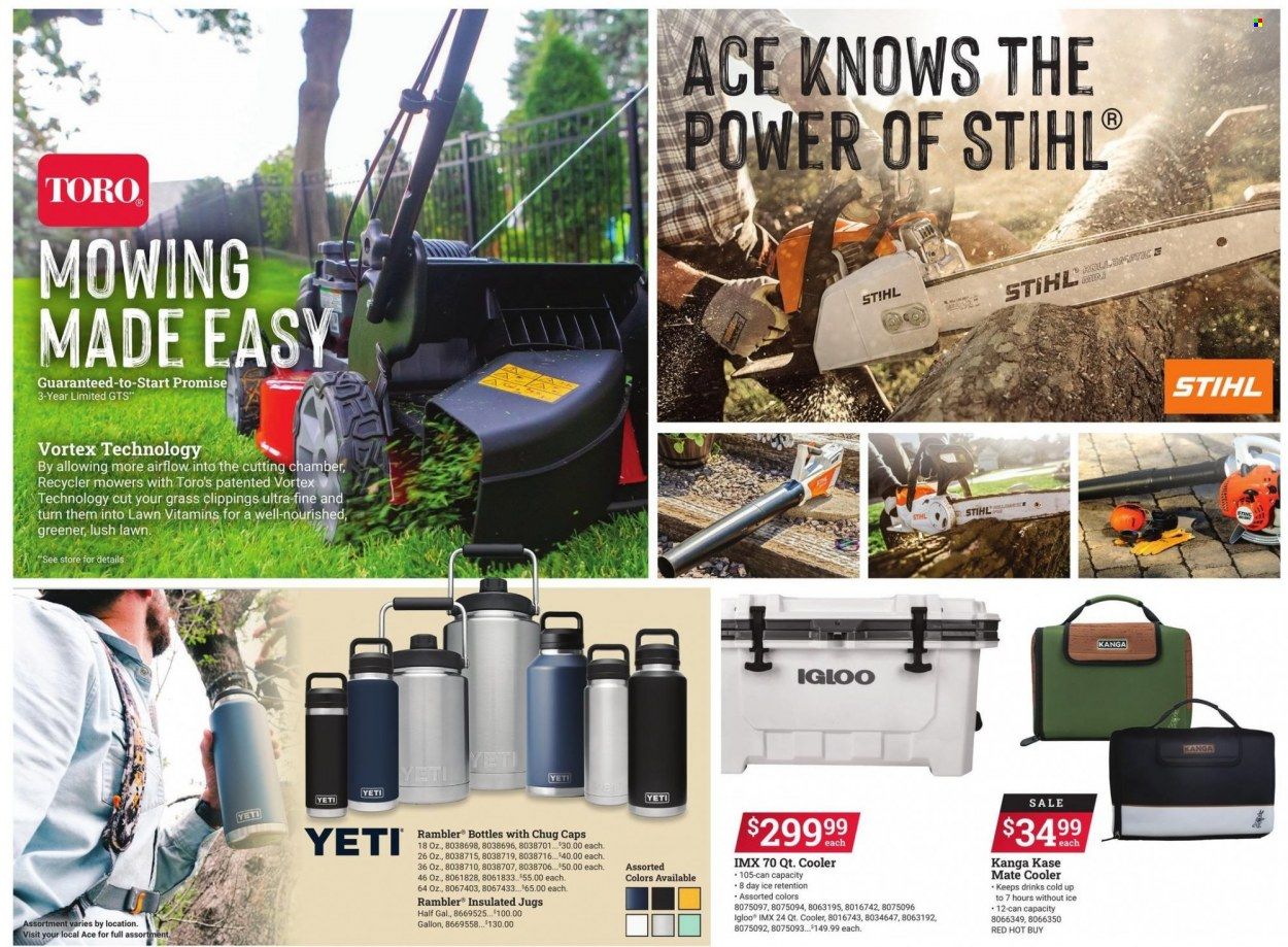 ACE Hardware Weekly Ad Flyer June 9 to June 16