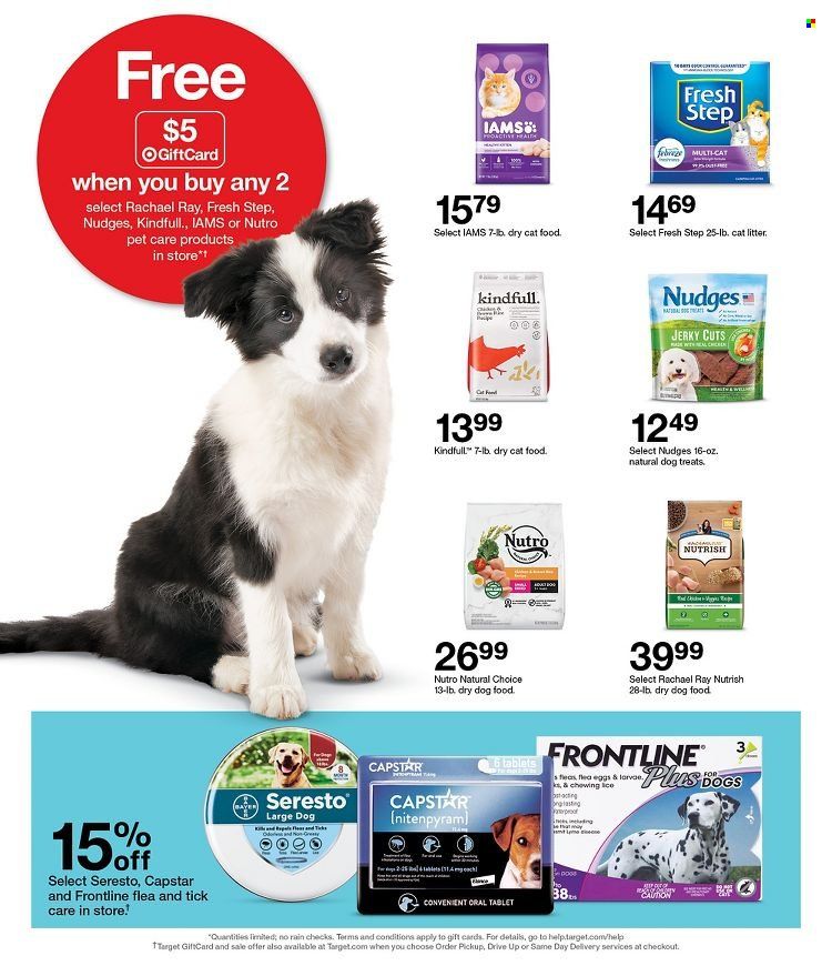 Target Weekly Ad Flyer June 10 to June 17