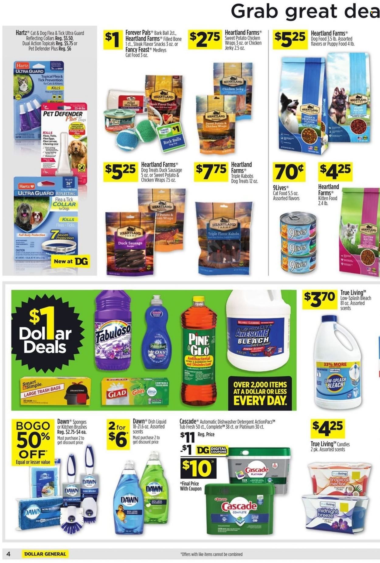 Dollar General Weekly Ad Flyer June 12 to June 19