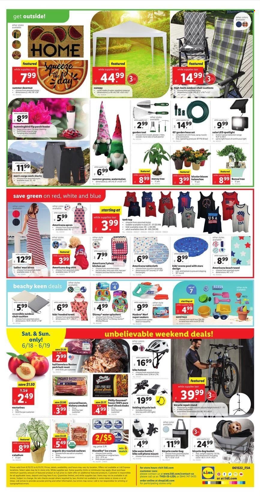 Lidl (GA, MD, NC, NJ, PA, SC, VA) Weekly Ad Flyer June 12 to June 19