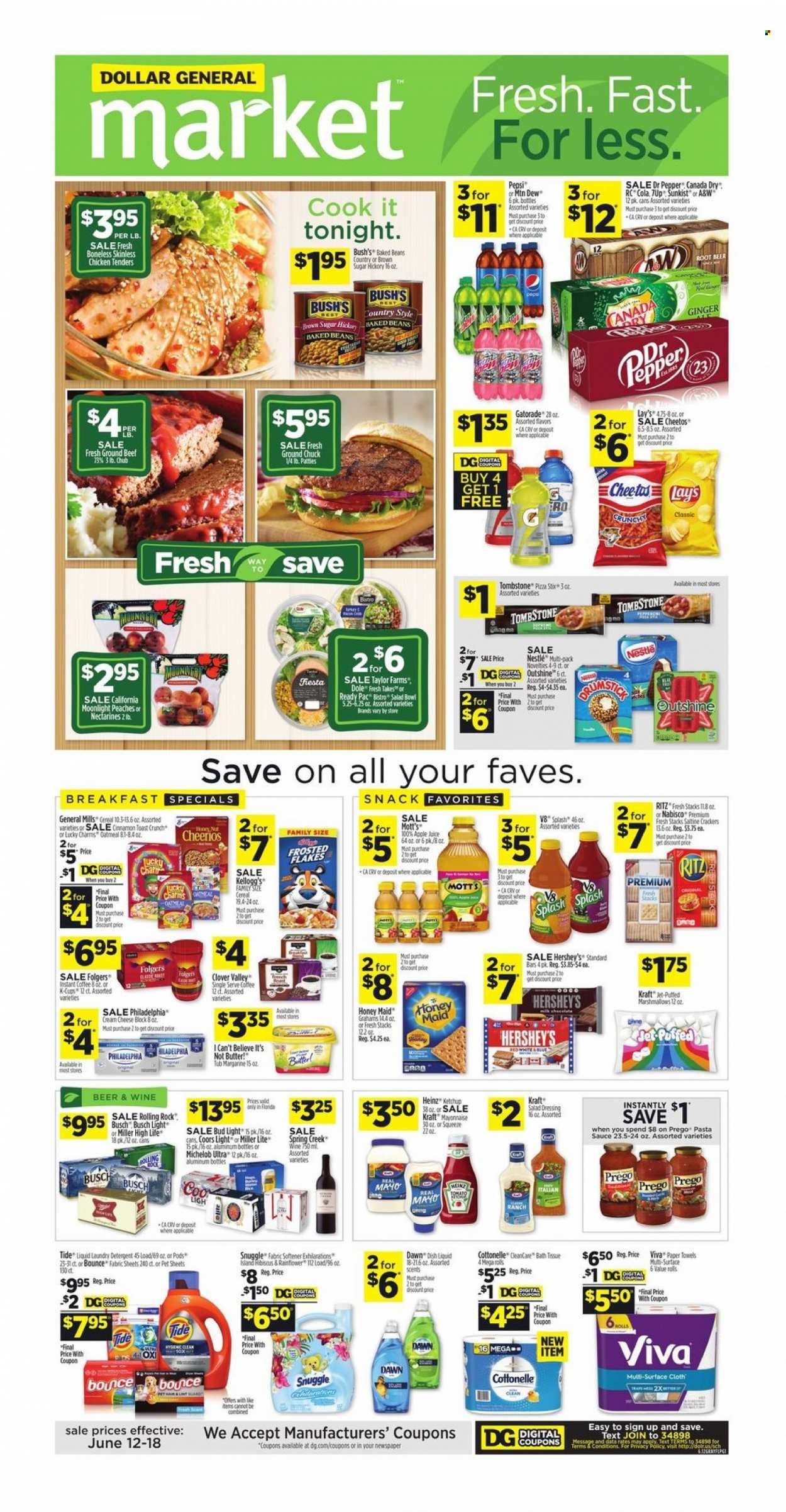 Dollar General (FL) Weekly Ad Flyer June 13 to June 20