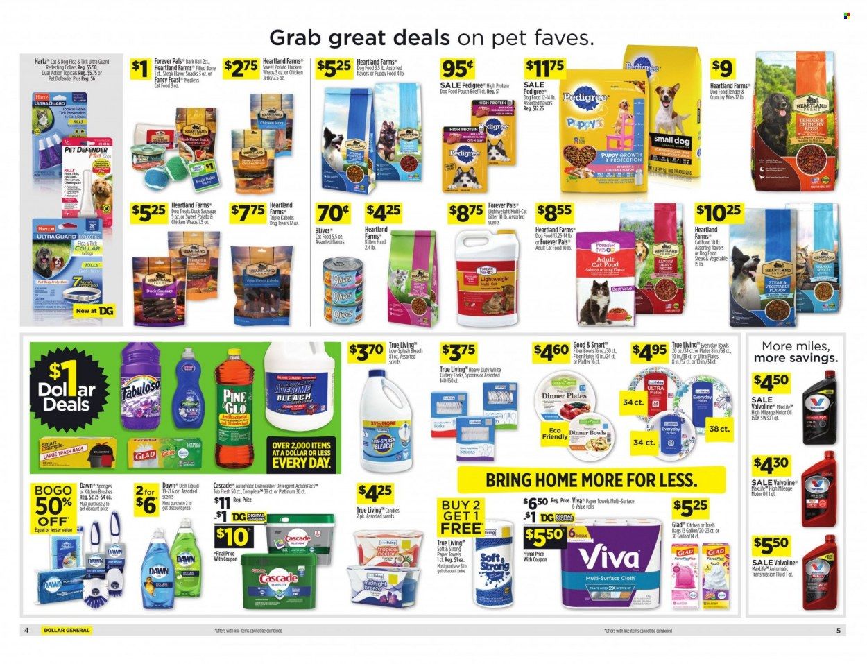 Dollar General (GA, LA, MI, MN, OH, OK) Weekly Ad Flyer June 13 to June 20