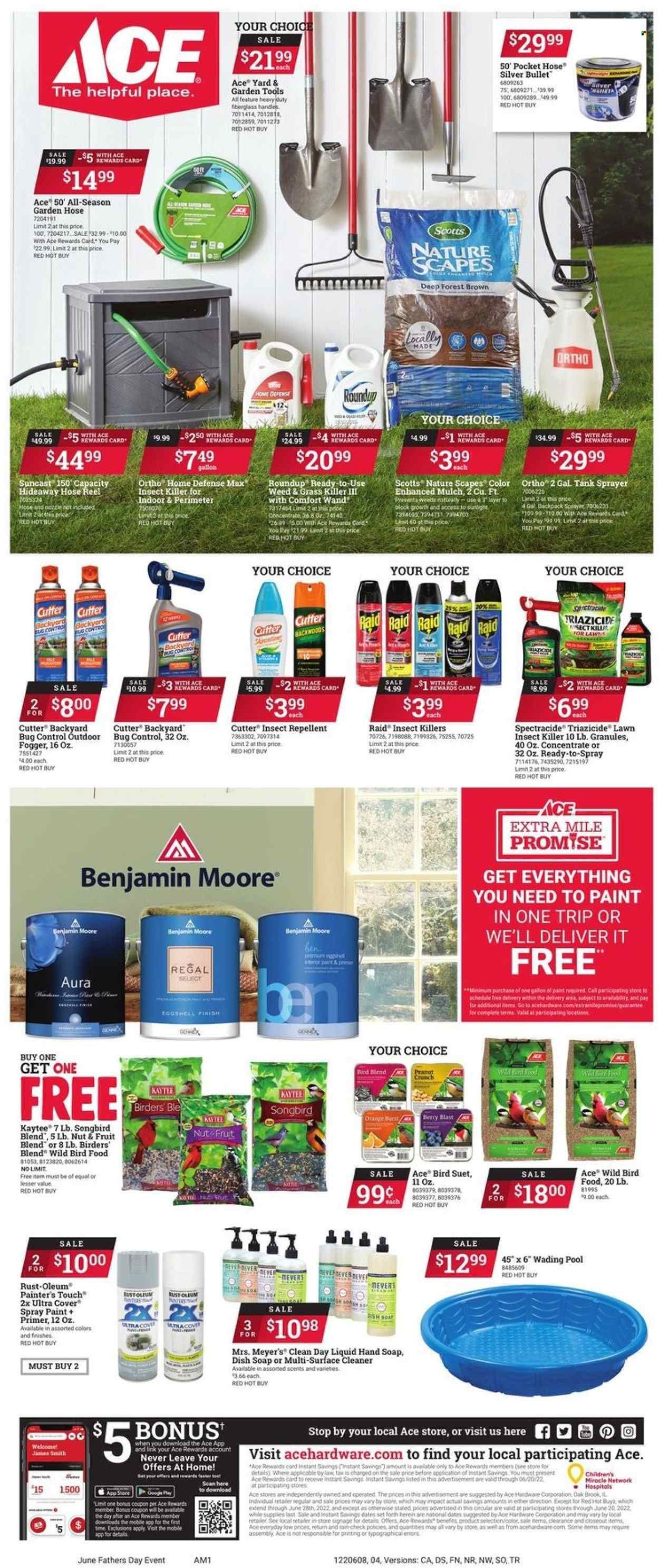 ACE Hardware Weekly Ad Flyer June 13 to June 20