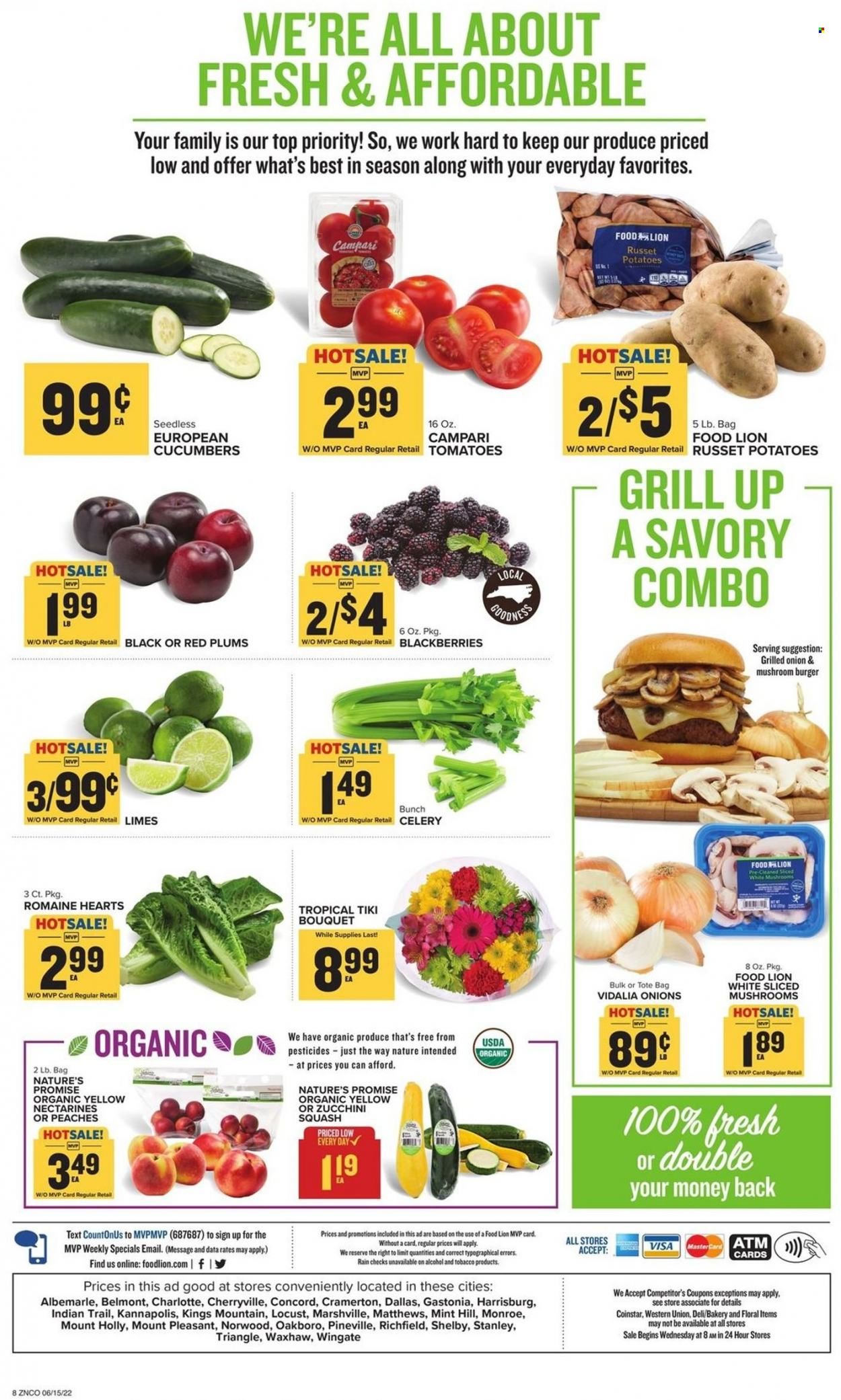 Food Lion (NC) Weekly Ad Flyer June 14 to June 21