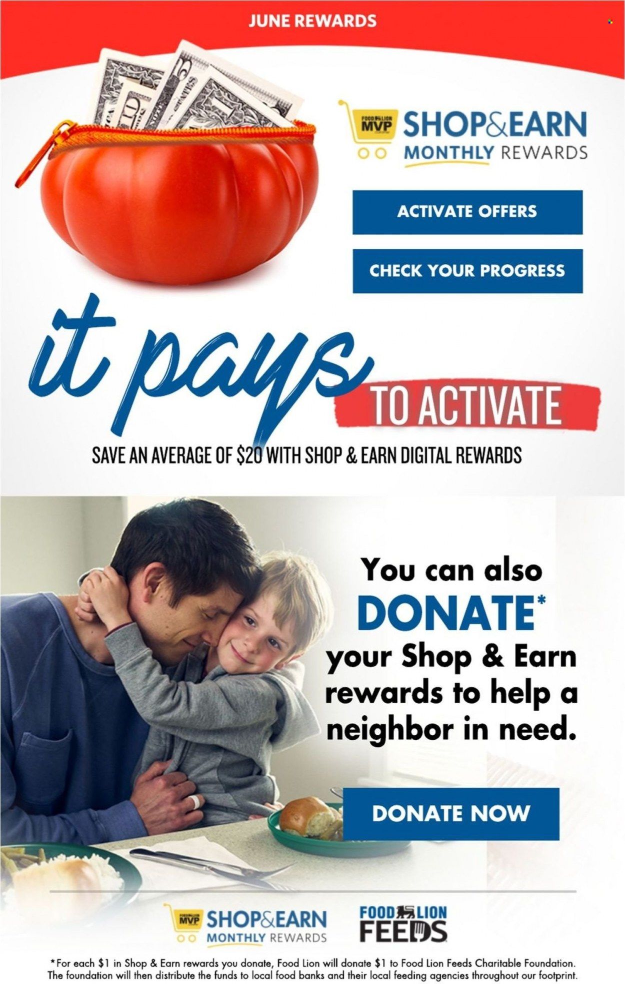 Food Lion (VA) Weekly Ad Flyer June 14 to June 21