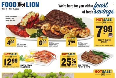 Food Lion (MD) Weekly Ad Flyer June 14 to June 21