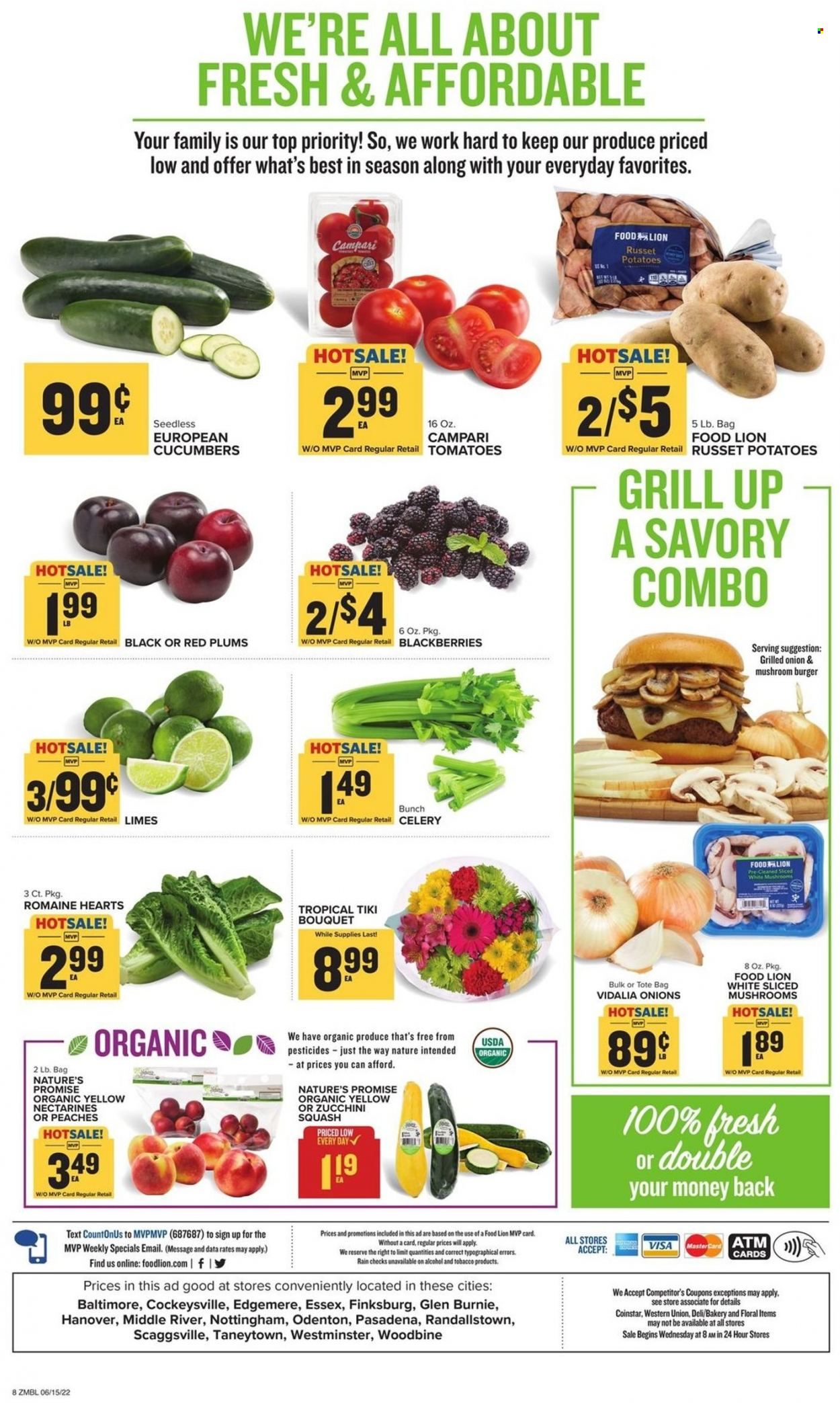 Food Lion (MD) Weekly Ad Flyer June 14 to June 21