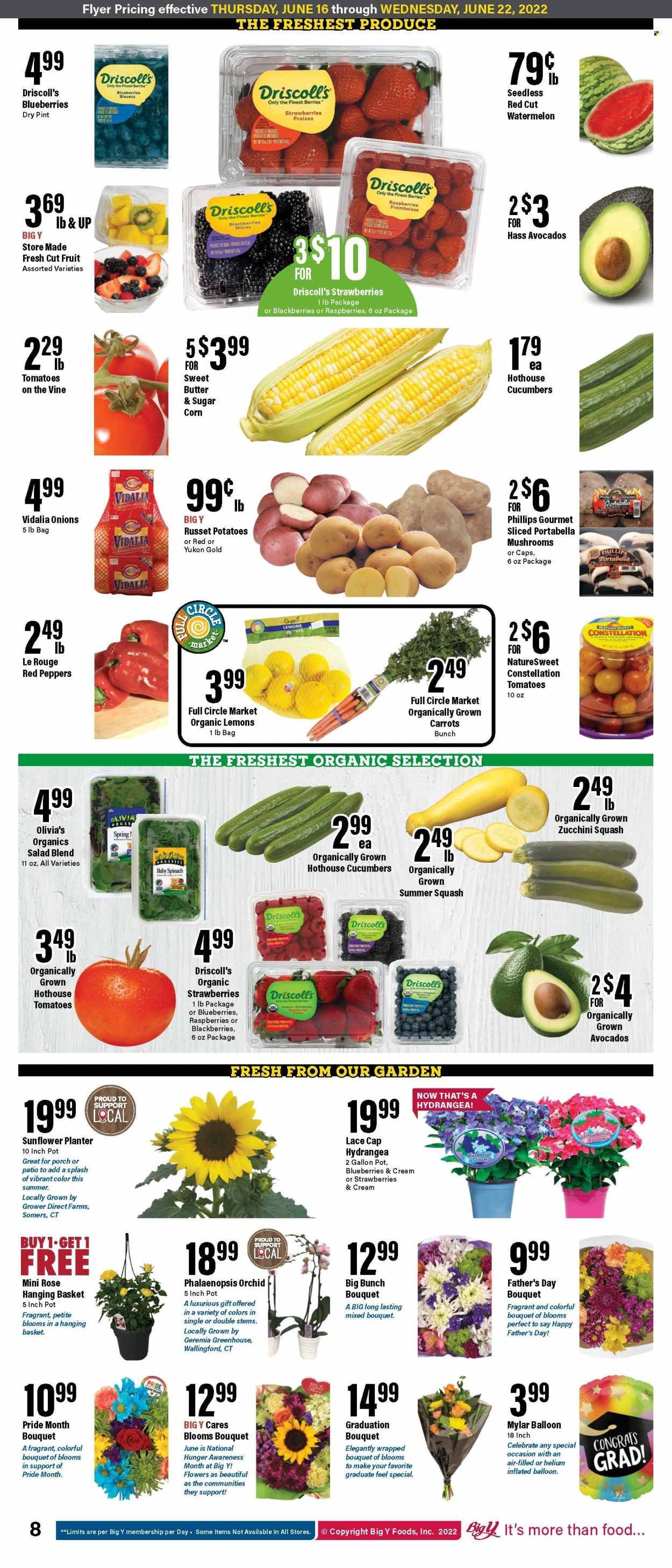 Big Y (MA) Weekly Ad Flyer June 15 to June 22