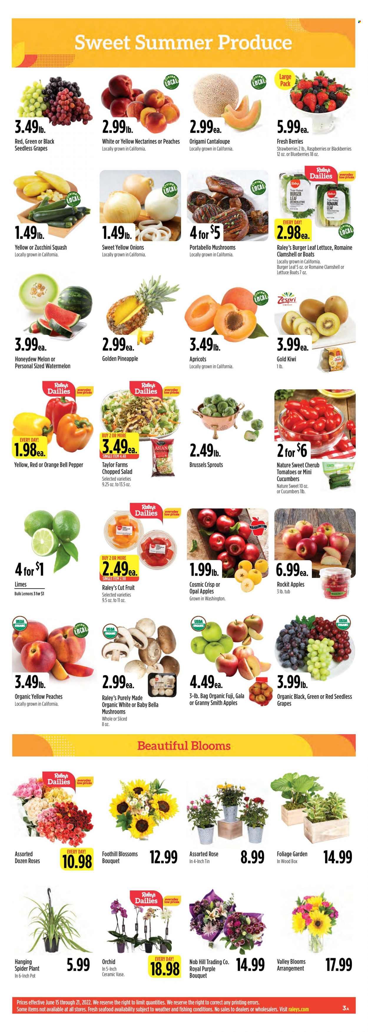 Raley's (CA, NV) Weekly Ad Flyer June 16 to June 23