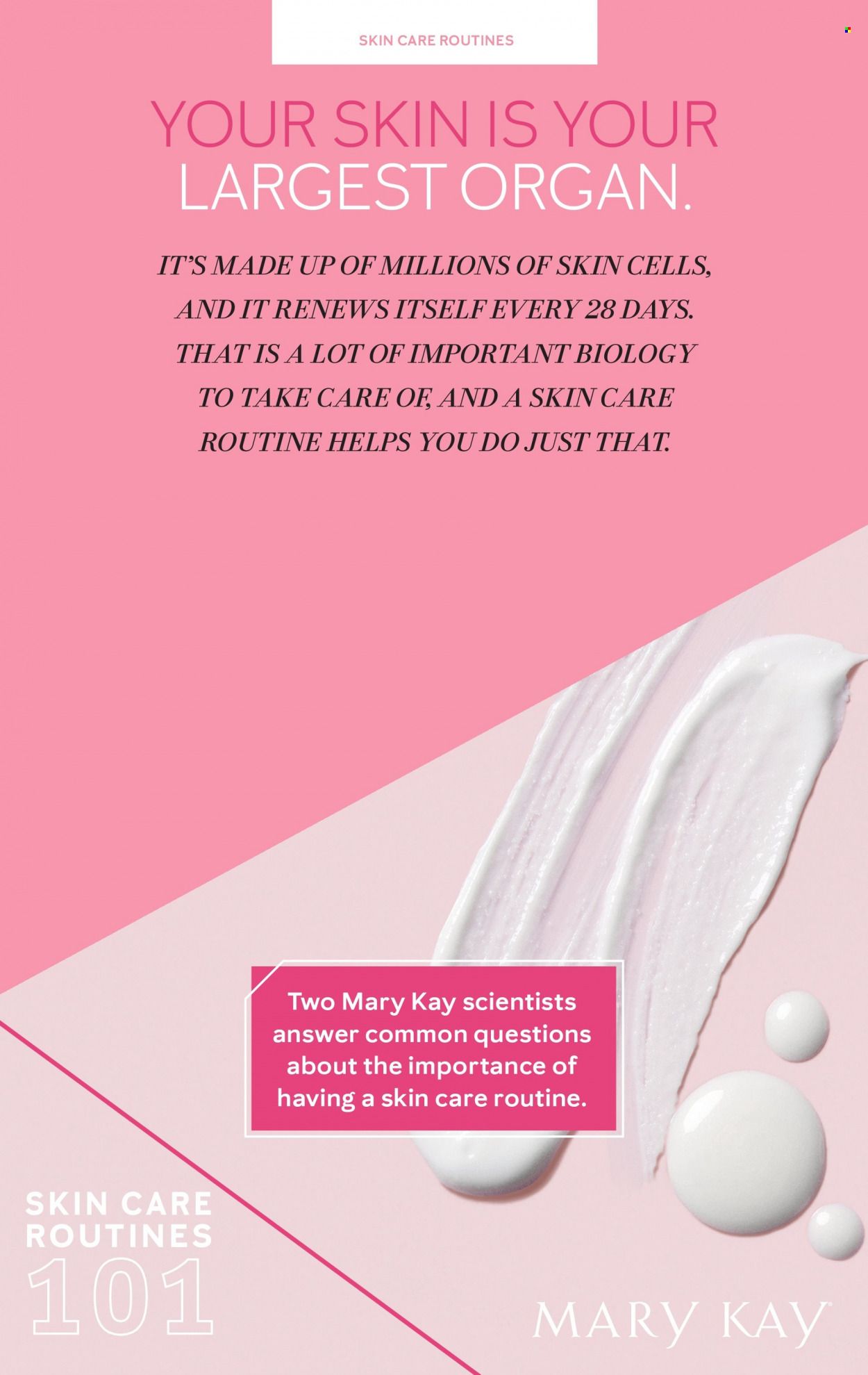 Mary Kay Promotions & Flyer Specials January 2023