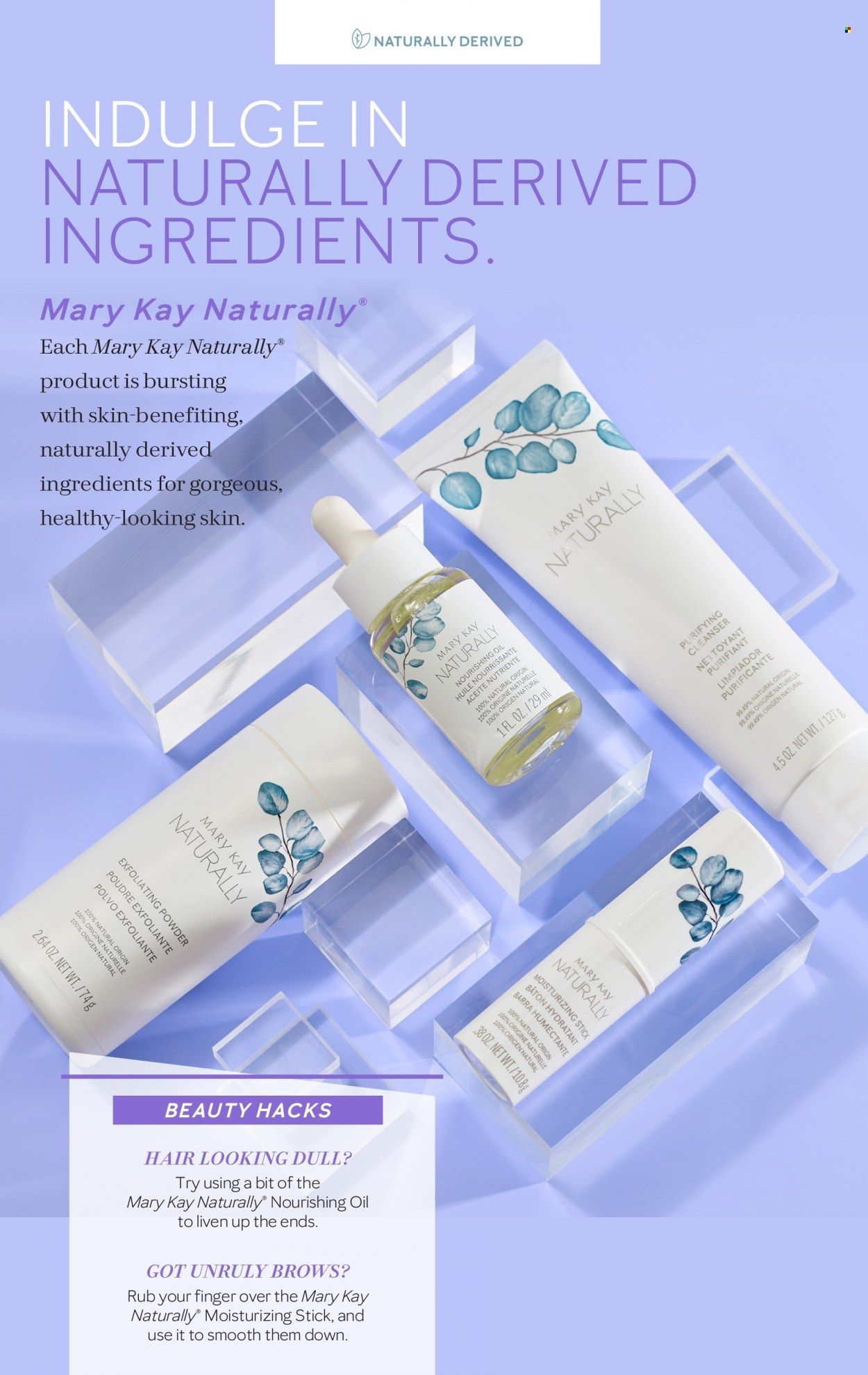 Mary Kay Promotions & Flyer Specials January 2023