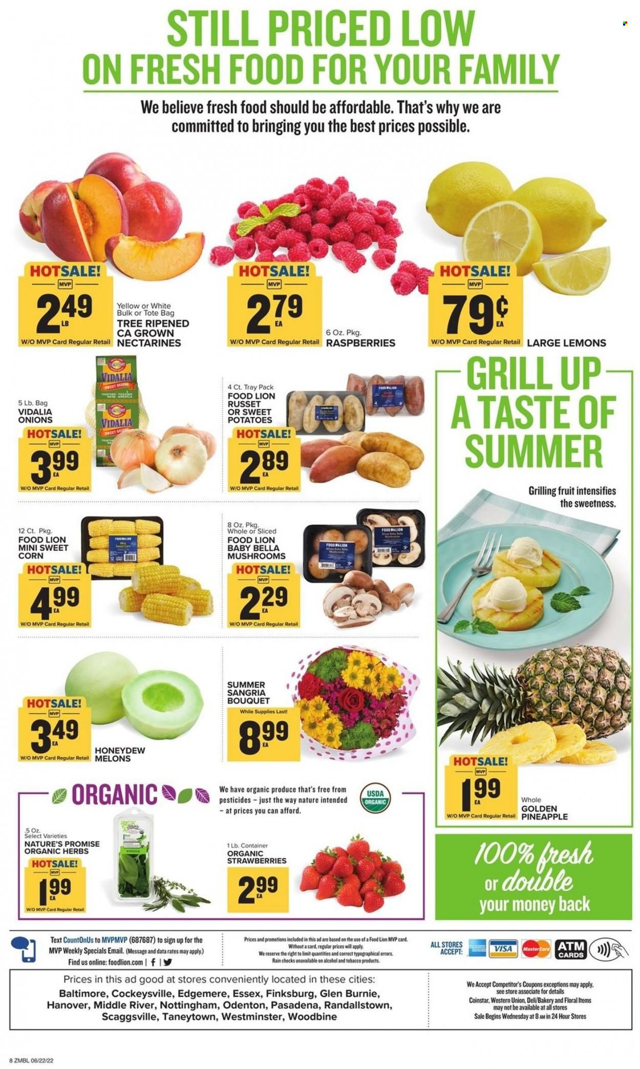 Food Lion (MD) Weekly Ad Flyer June 21 to June 28