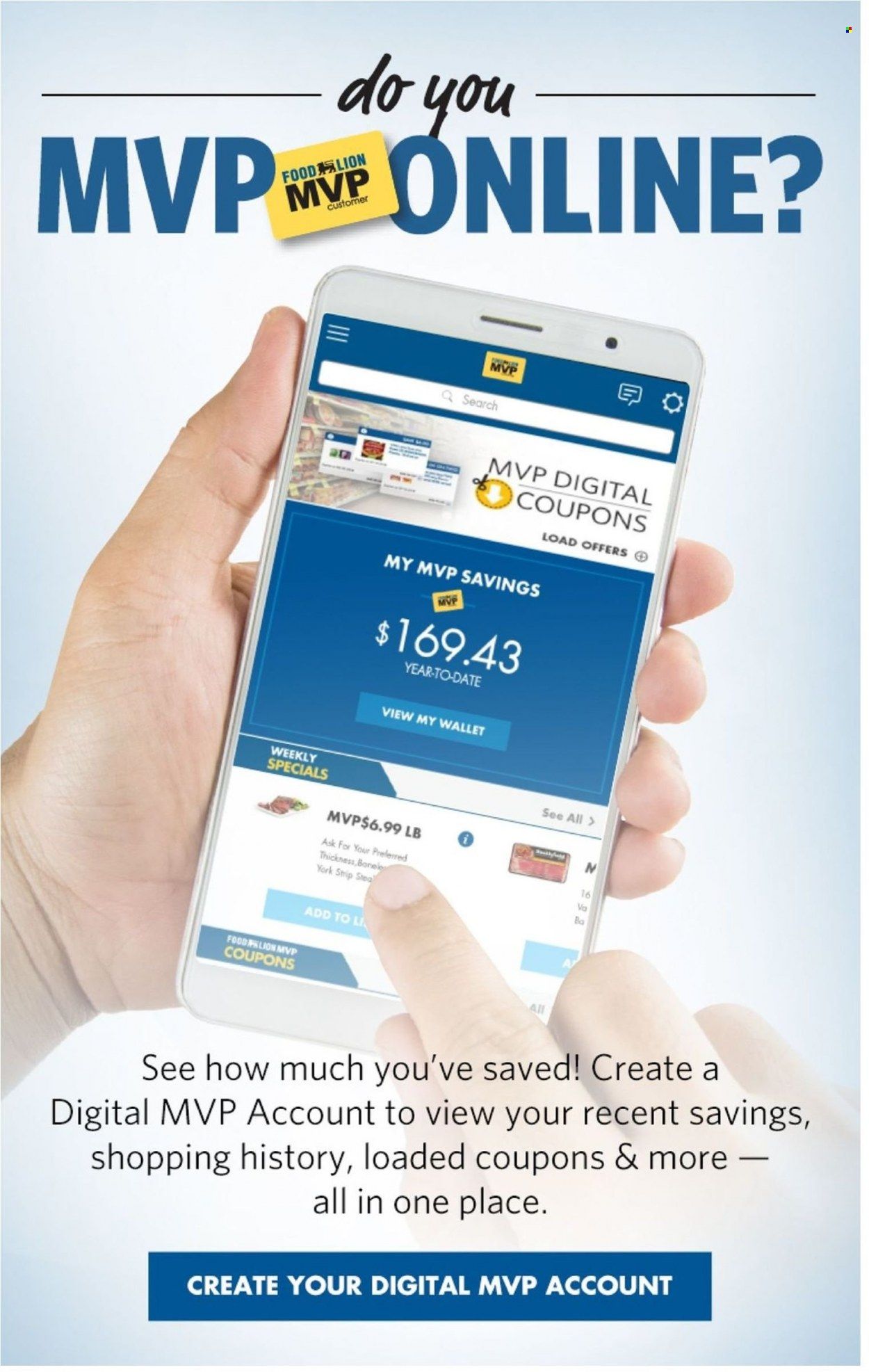 Food Lion (VA) Weekly Ad Flyer June 21 to June 28