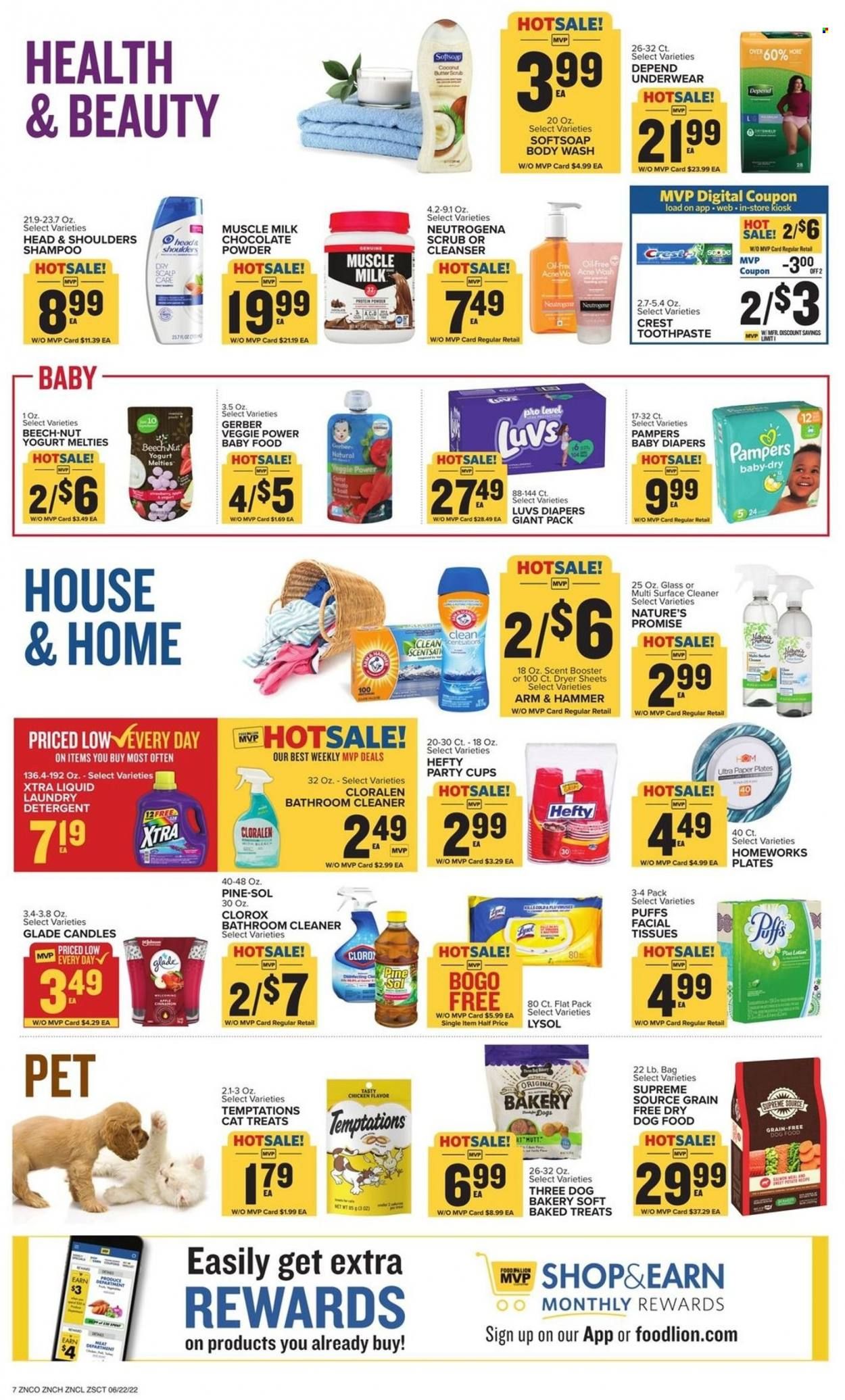 Food Lion (NC) Weekly Ad Flyer June 21 to June 28