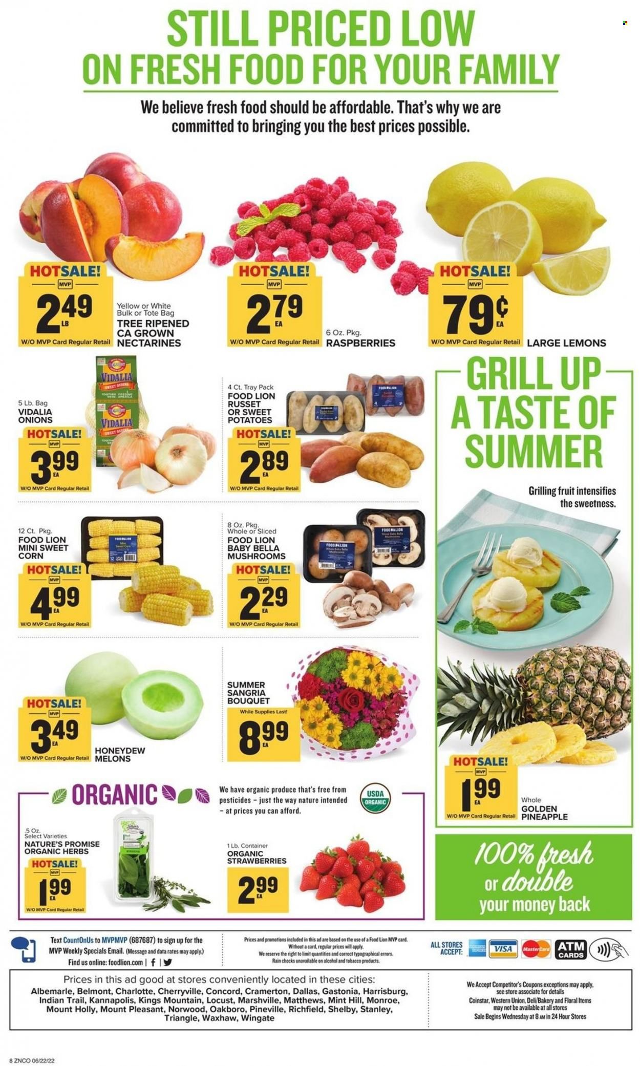 Food Lion (NC) Weekly Ad Flyer June 21 to June 28