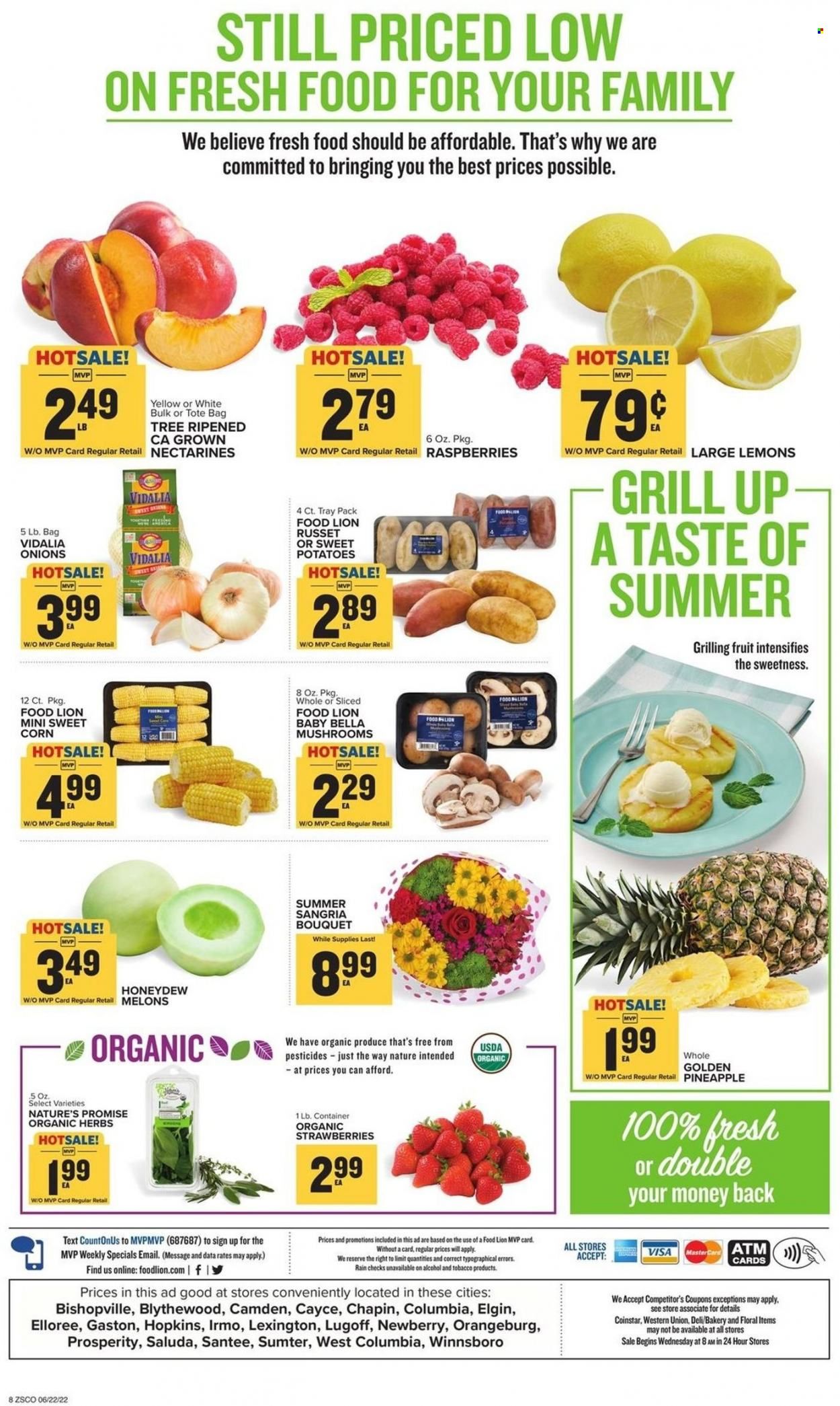 Food Lion (SC) Weekly Ad Flyer June 21 to June 28