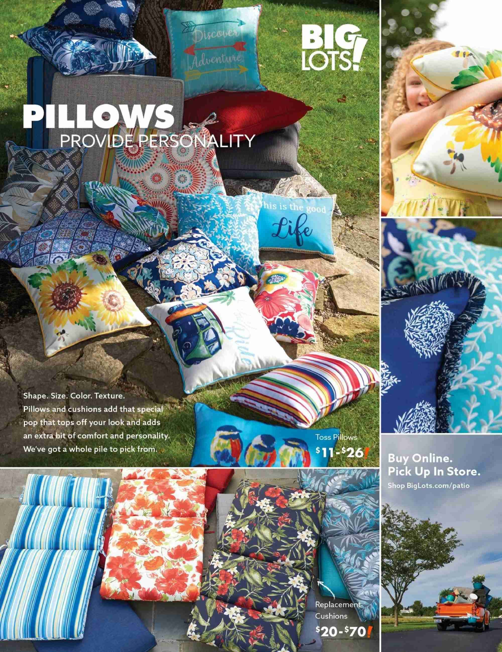 Big Lots Weekly Ad & Flyer January 19 to July 31