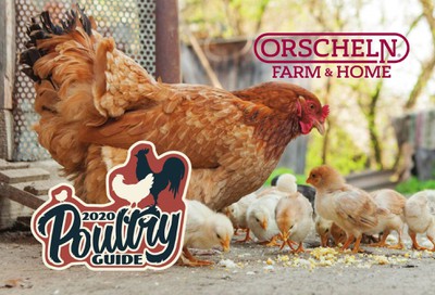Orscheln Farm and Home Weekly Ad & Flyer February 1 to November 1