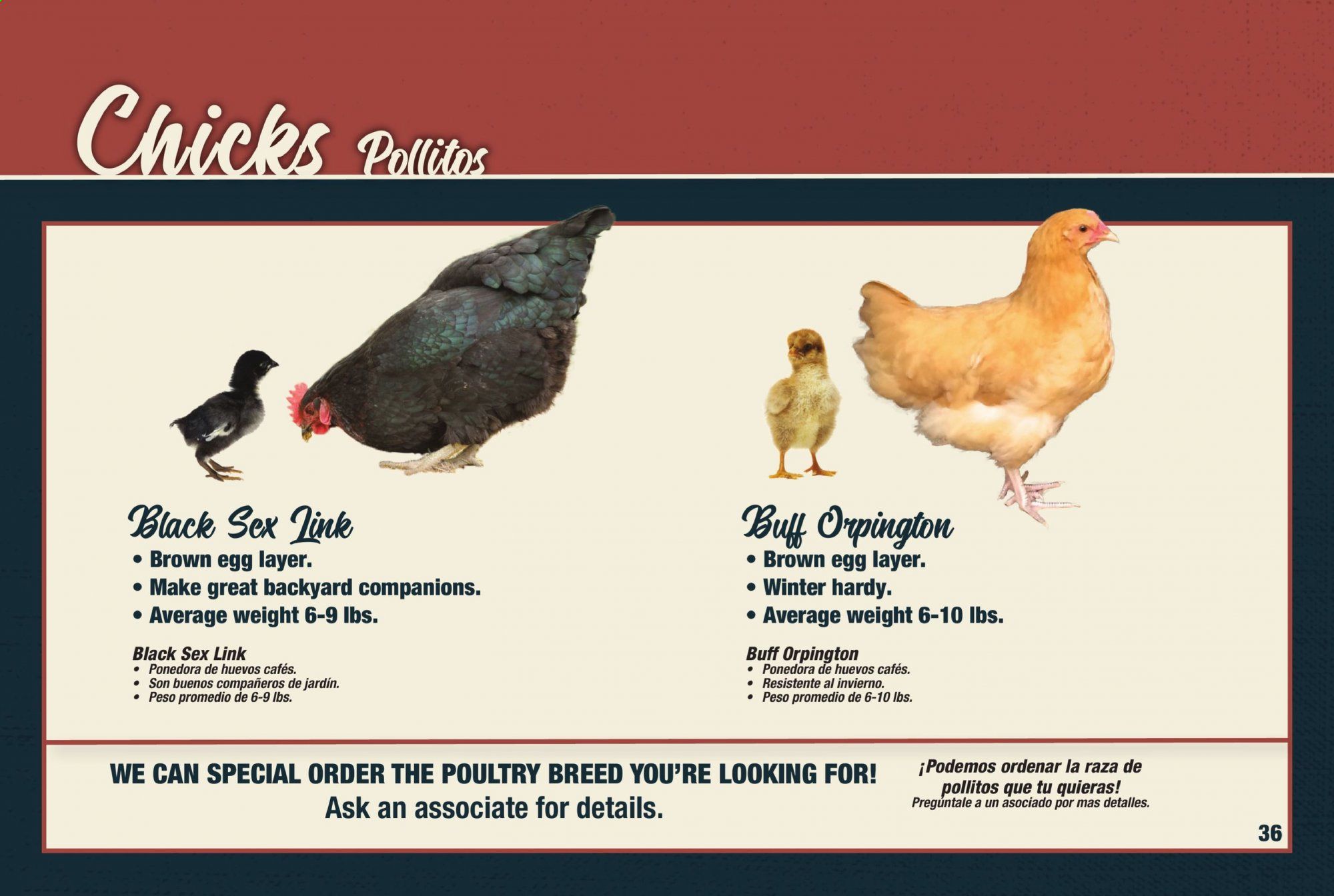 Orscheln Farm and Home Weekly Ad & Flyer February 1 to November 1