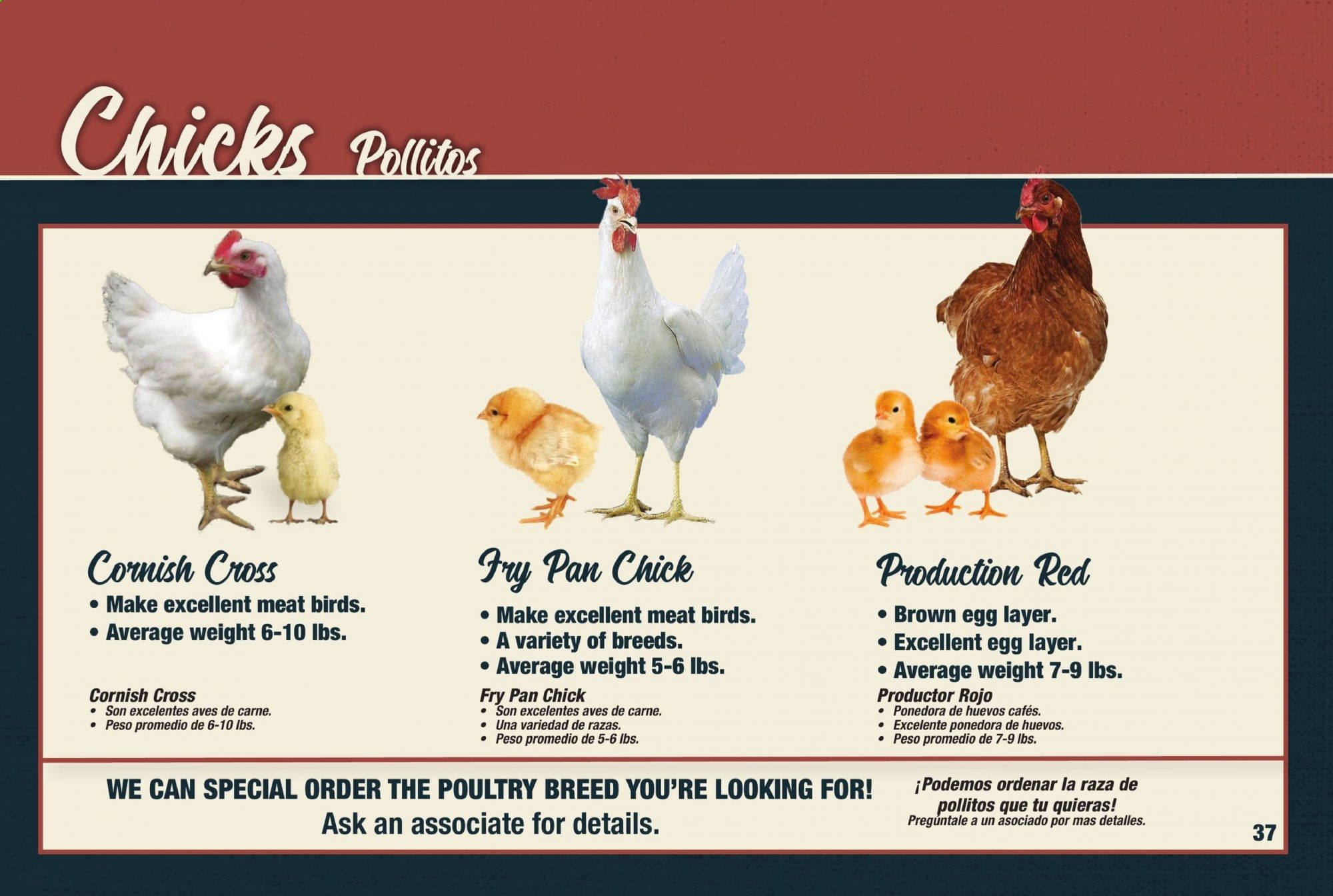 Orscheln Farm and Home Weekly Ad & Flyer February 1 to November 1