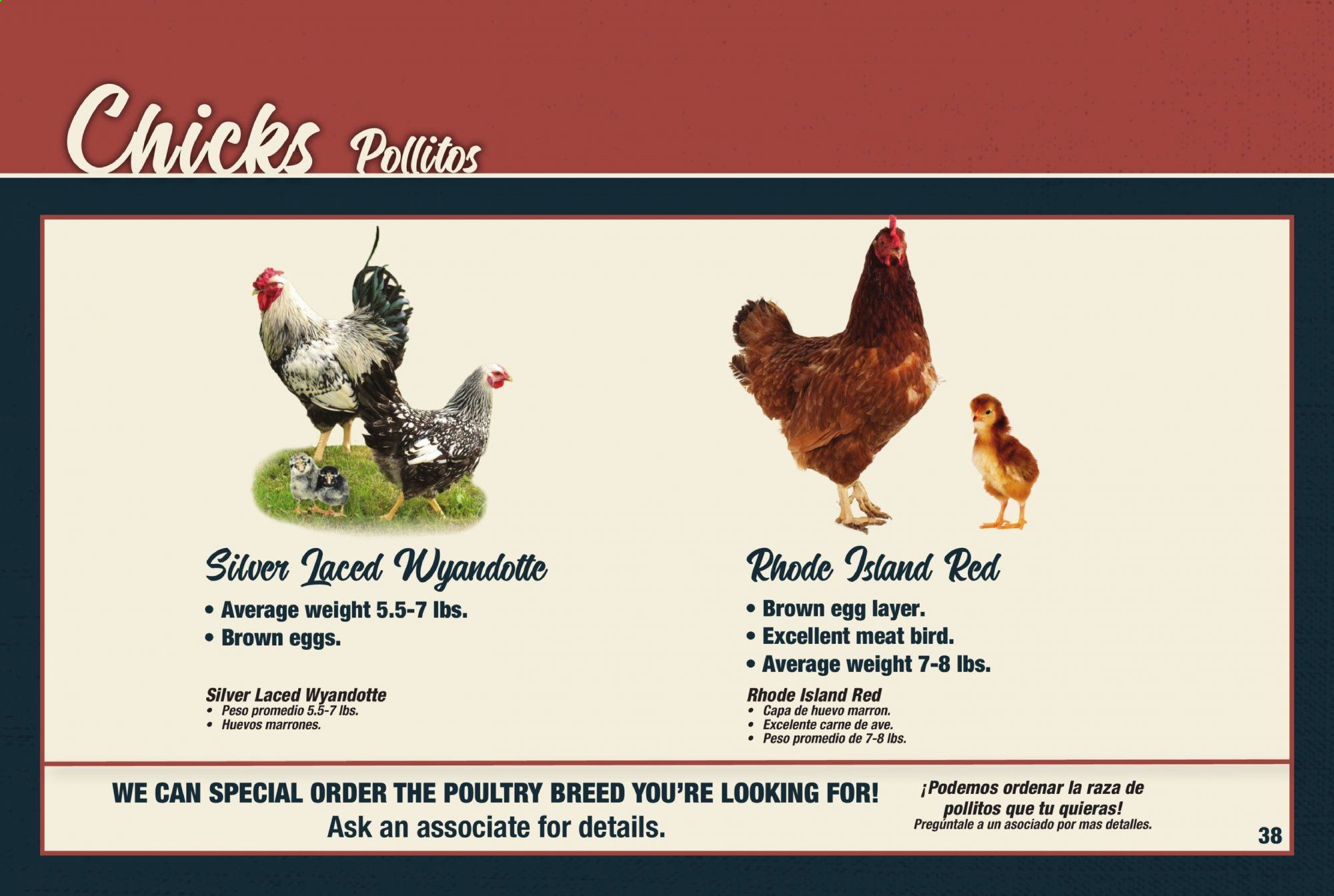 Orscheln Farm and Home Weekly Ad & Flyer February 1 to November 1