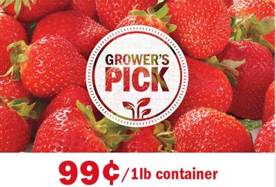 Meijer (IL, IN, KY, MI, OH, WI) Weekly Ad Flyer June 24 to July 1