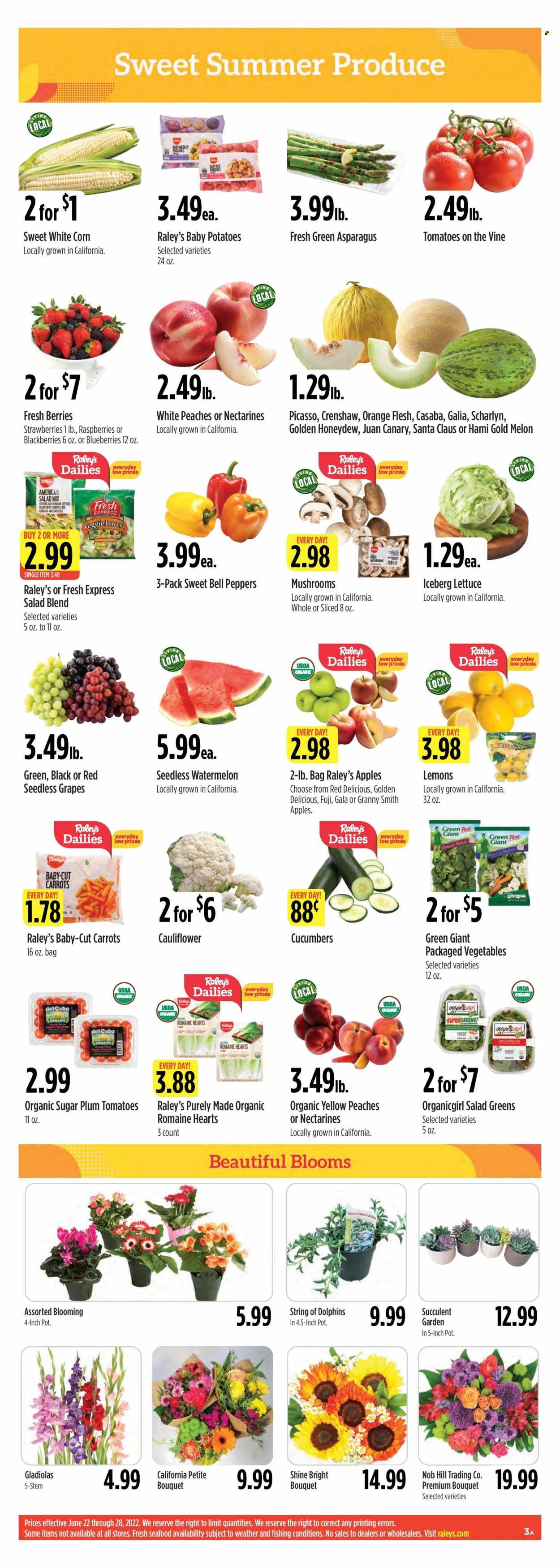 Raley's (CA, NV) Weekly Ad Flyer June 24 to July 1