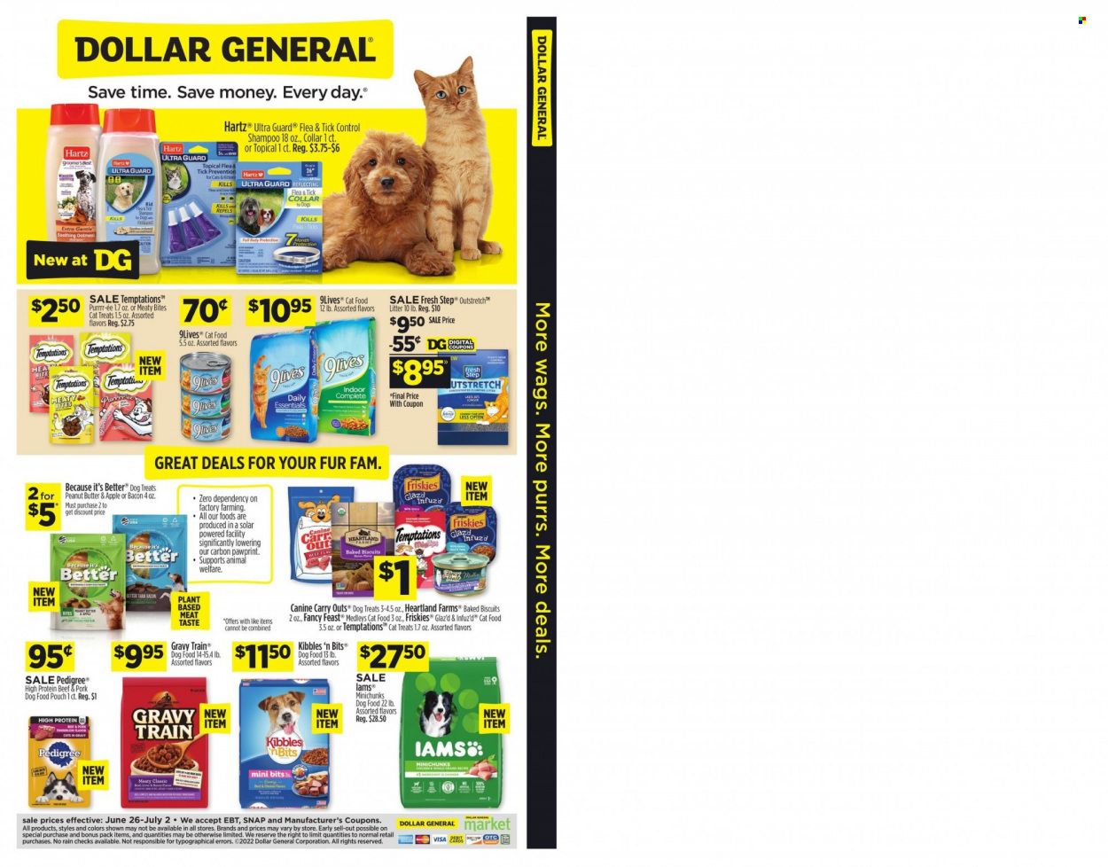 Dollar General (SC) Weekly Ad Flyer June 27 to July 4