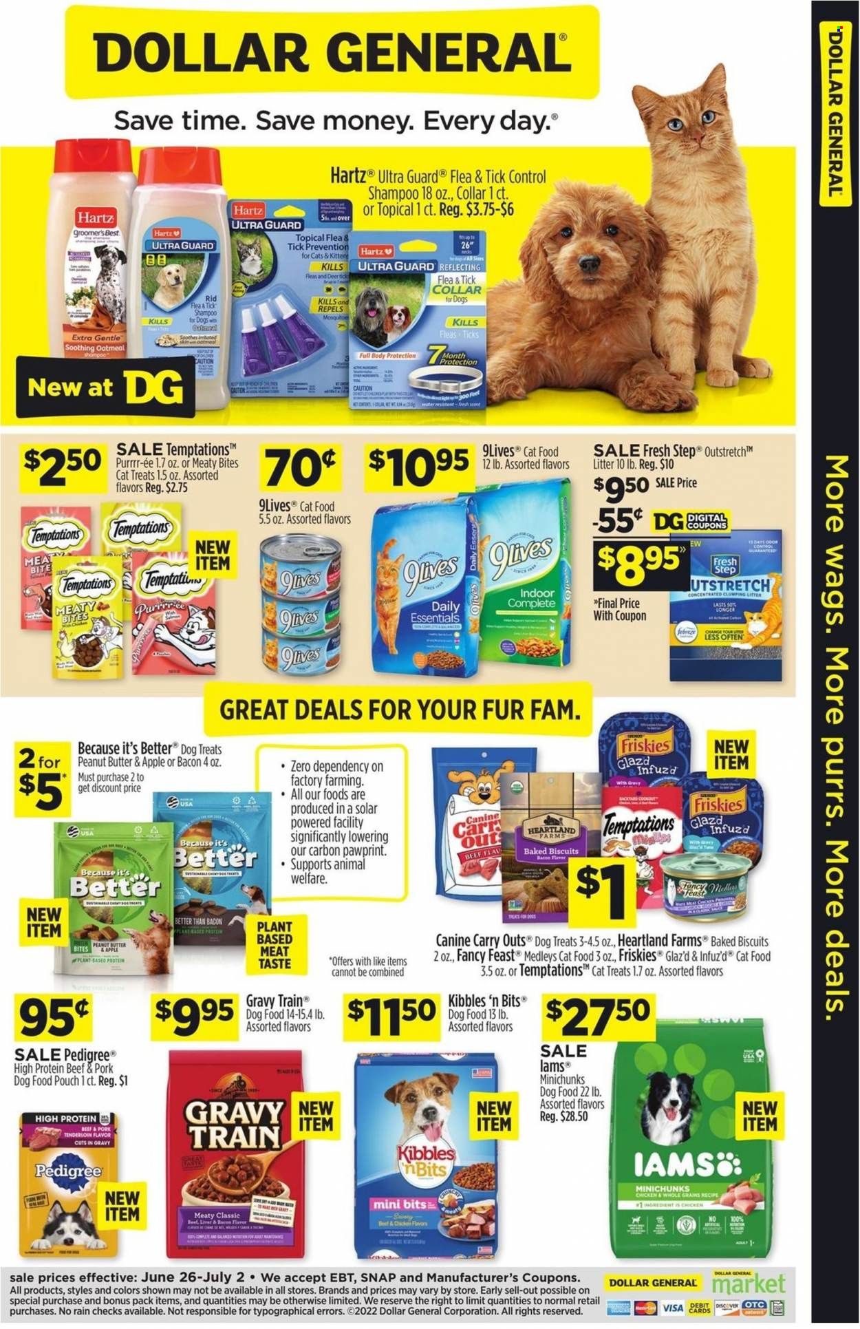 Dollar General (NC) Weekly Ad Flyer June 28 to July 5