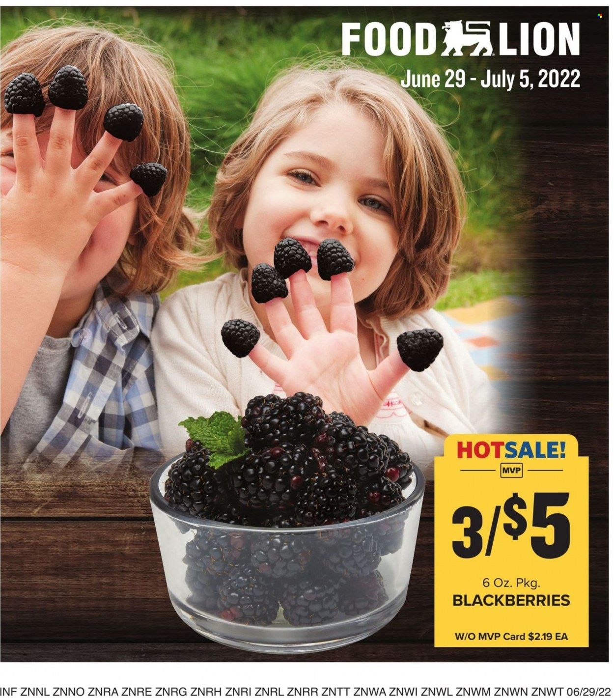 Food Lion (NC) Weekly Ad Flyer June 29 to July 6