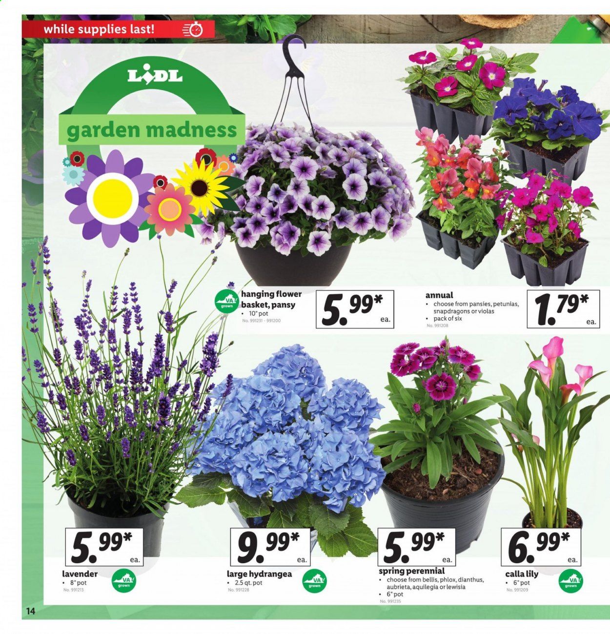 Lidl Weekly Ad & Flyer April 1 to 7