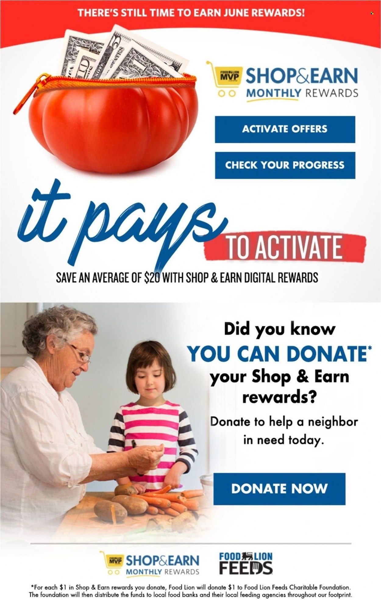 Food Lion (SC) Weekly Ad Flyer June 30 to July 7