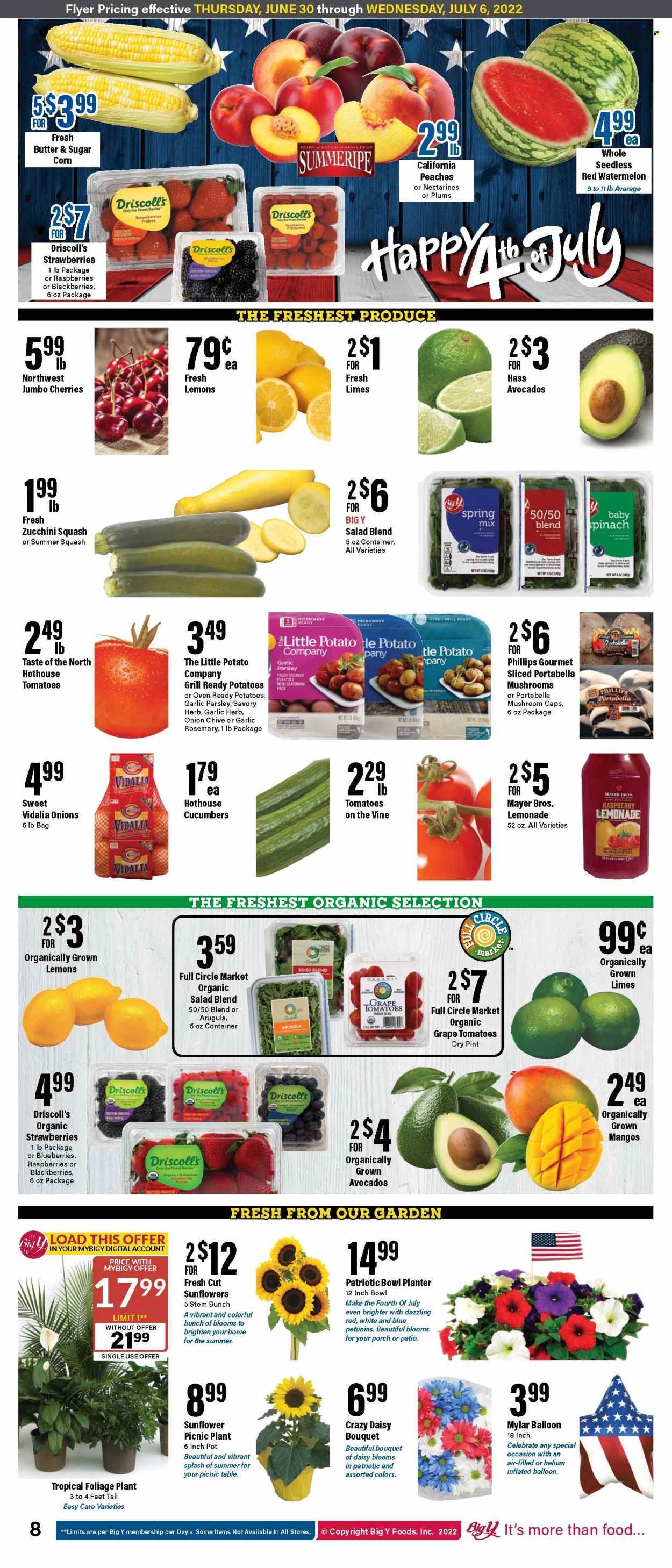 Big Y (MA) Weekly Ad Flyer June 30 to July 7