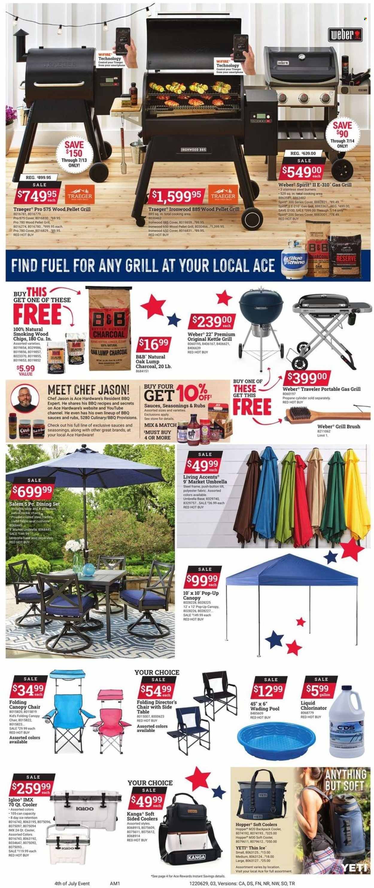 ACE Hardware Weekly Ad Flyer June 30 to July 7