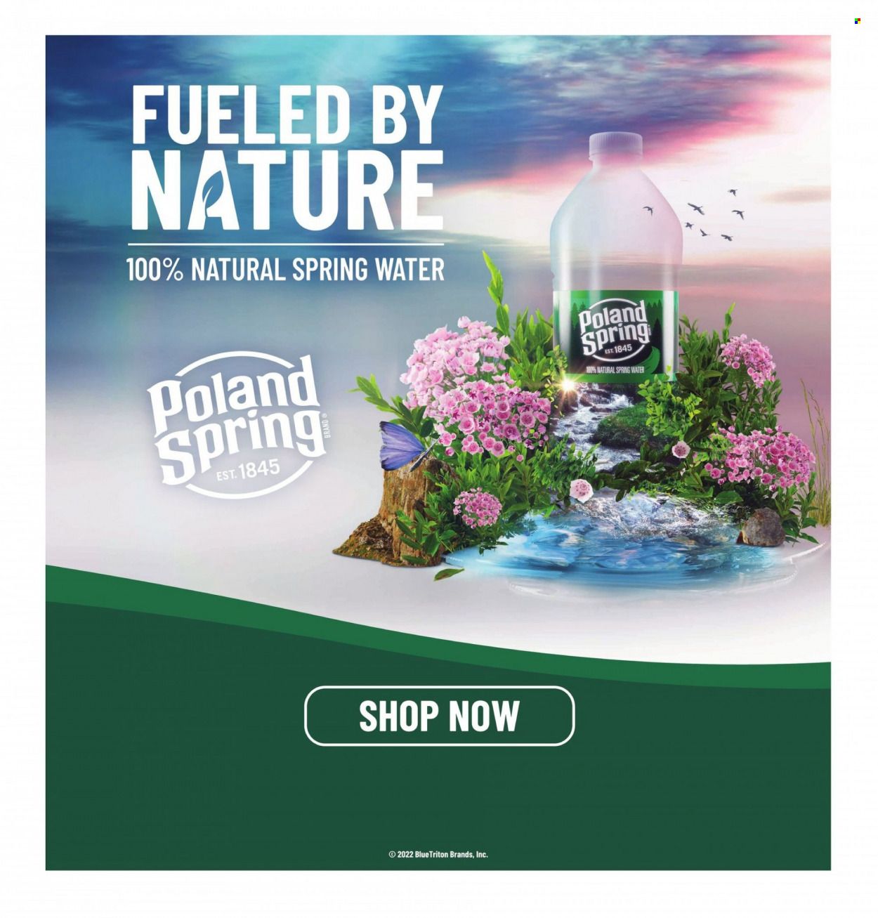 Hannaford (ME) Weekly Ad Flyer July 4 to July 11