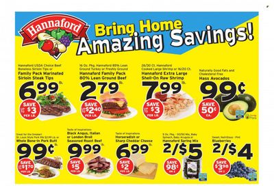 Hannaford (MA) Weekly Ad Flyer July 4 to July 11