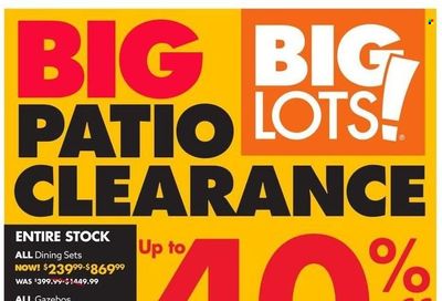 Big Lots Weekly Ad Flyer July 4 to July 11