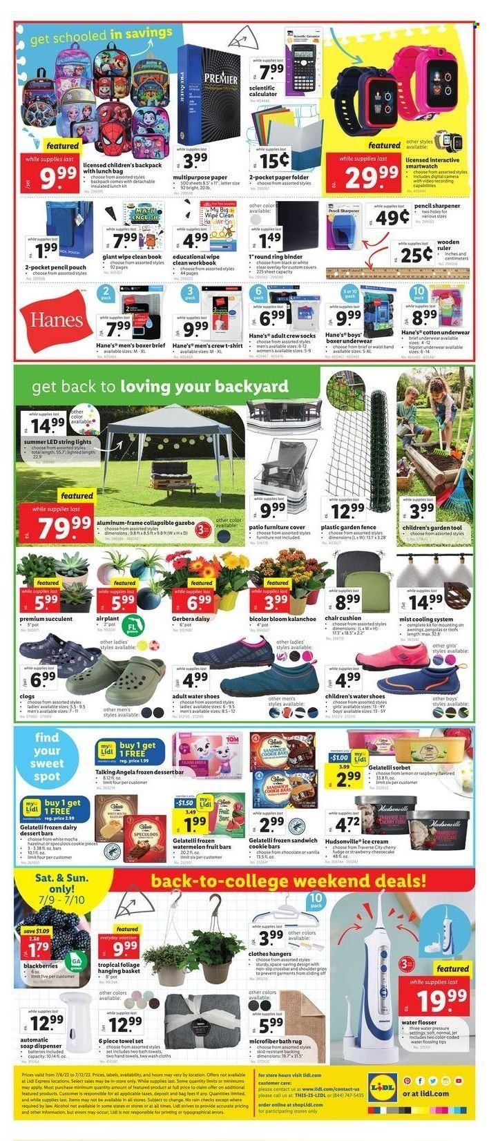 Lidl (GA, MD, NC, NJ, PA, SC, VA) Weekly Ad Flyer July 5 to July 12