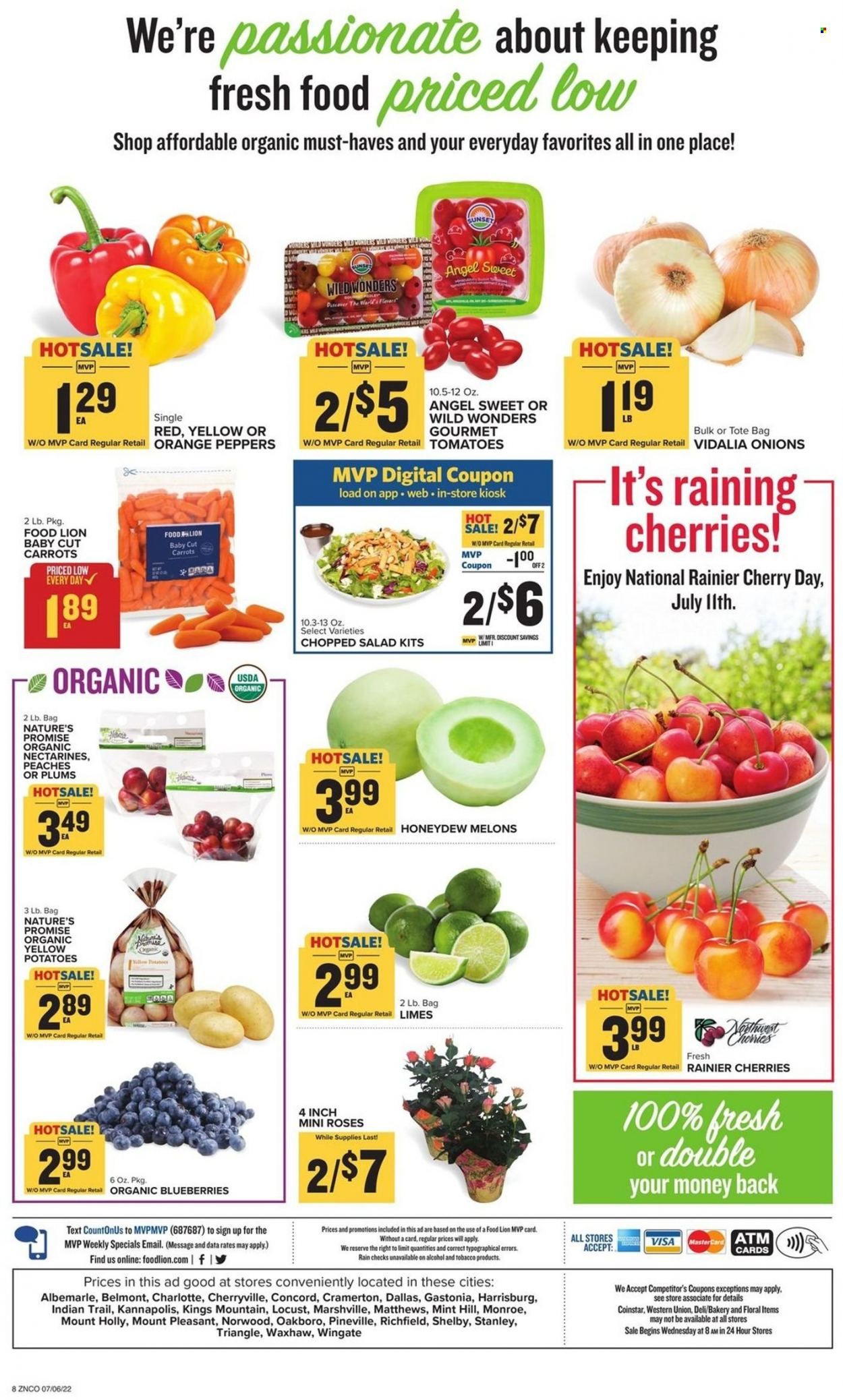 Food Lion (NC) Weekly Ad Flyer July 6 to July 13