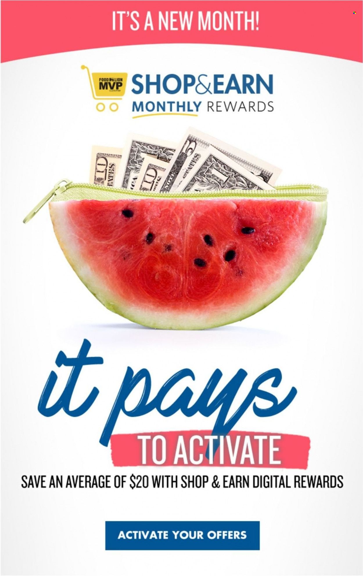 Food Lion (NC) Weekly Ad Flyer July 6 to July 13