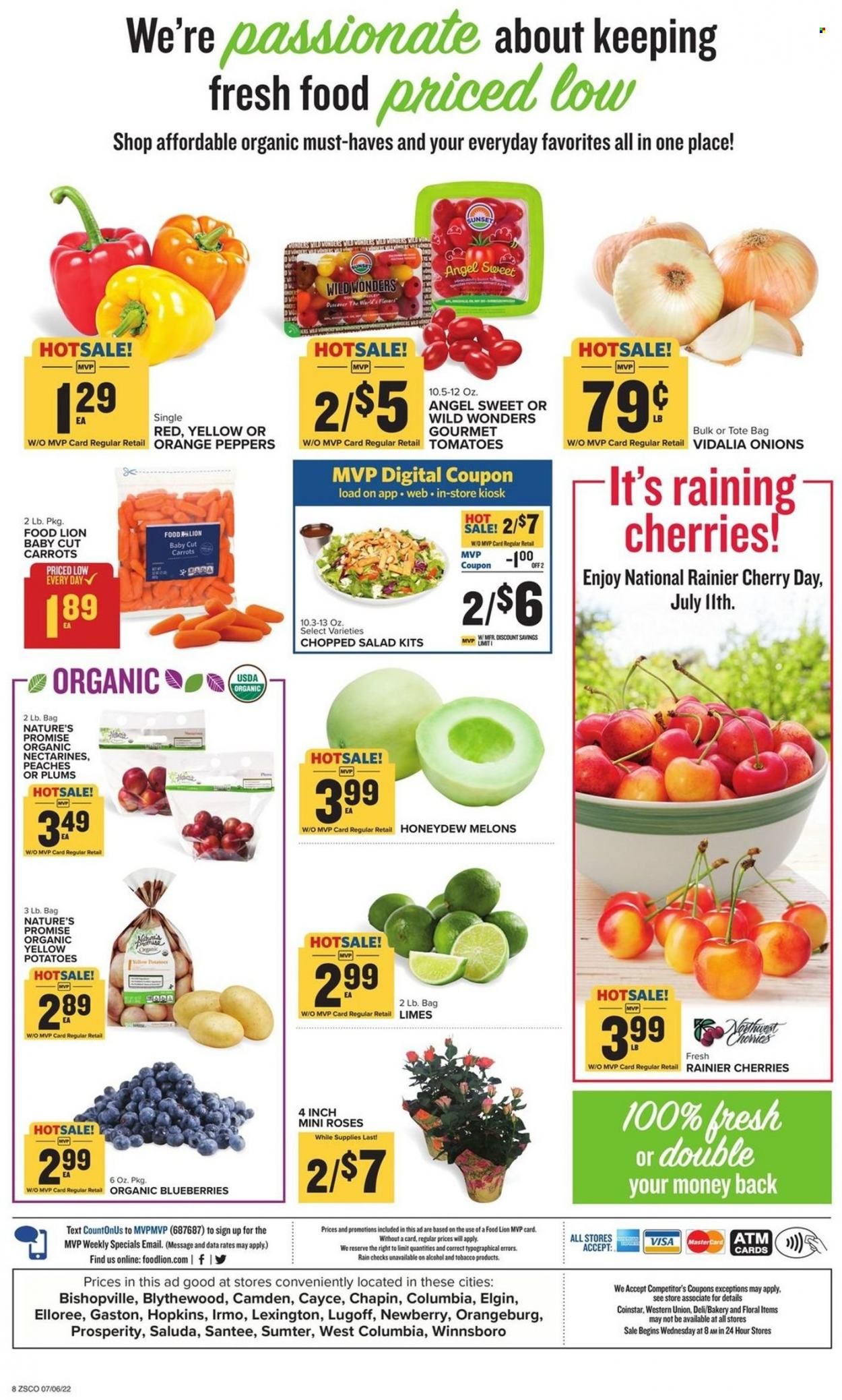 Food Lion (SC) Weekly Ad Flyer July 6 to July 13