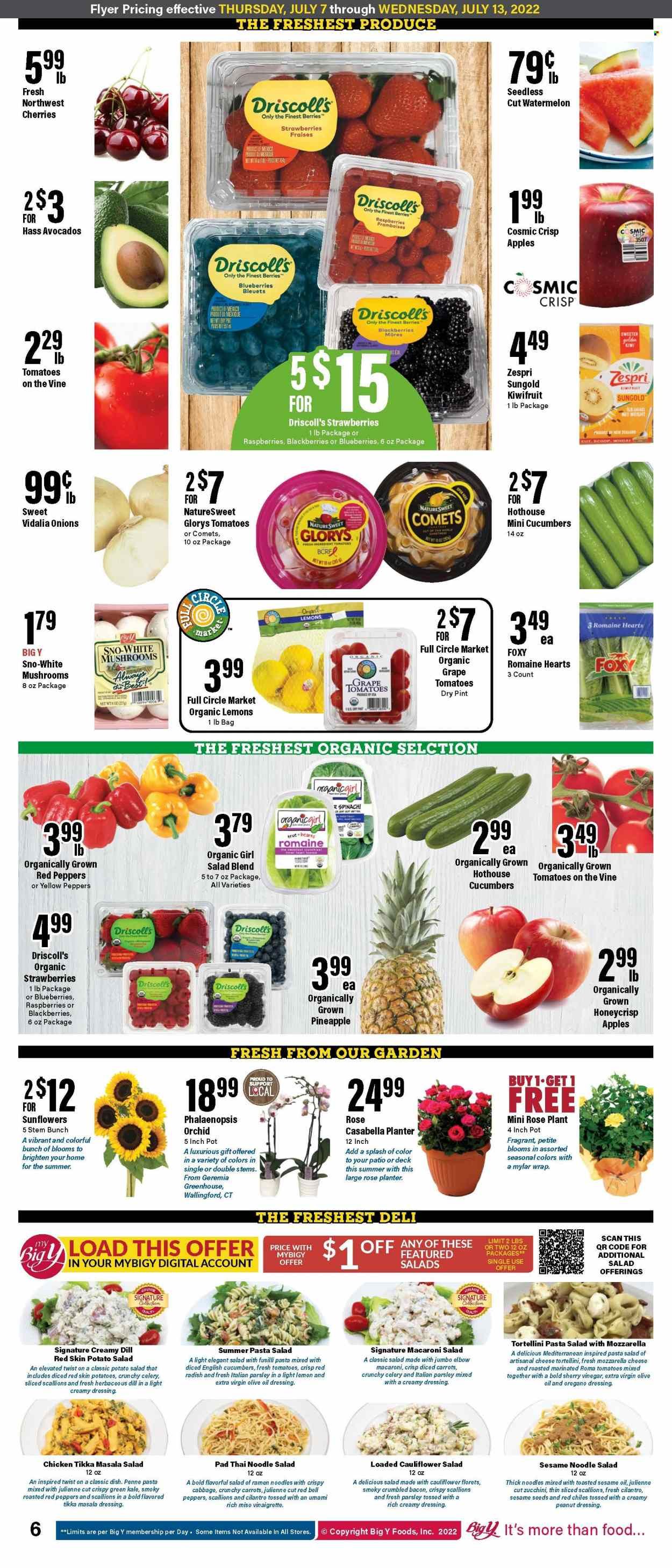 Big Y (MA) Weekly Ad Flyer July 6 to July 13