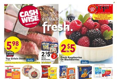 Cash Wise (MN, ND) Weekly Ad Flyer July 6 to July 13