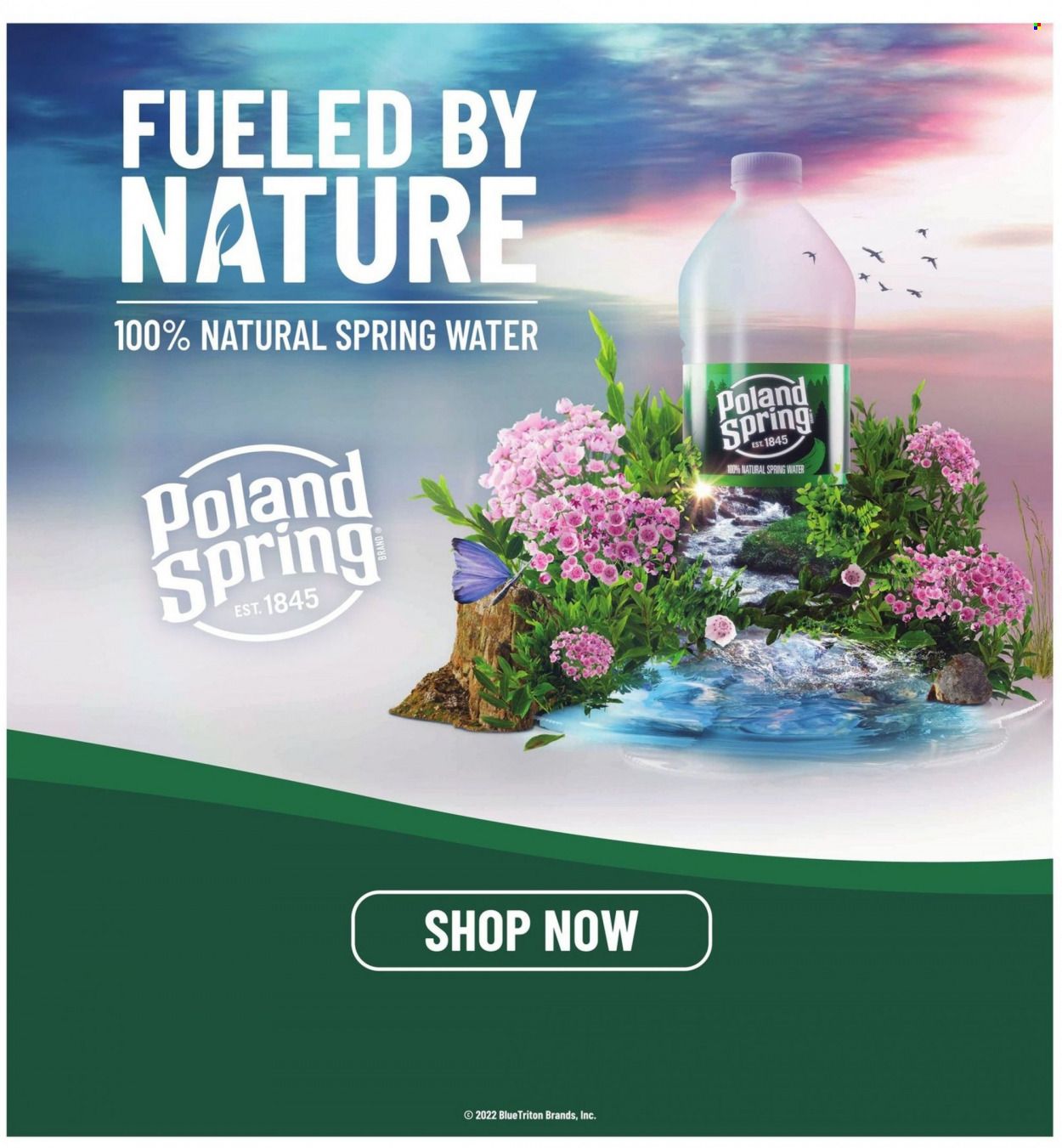 Hannaford (NY) Weekly Ad Flyer July 10 to July 17