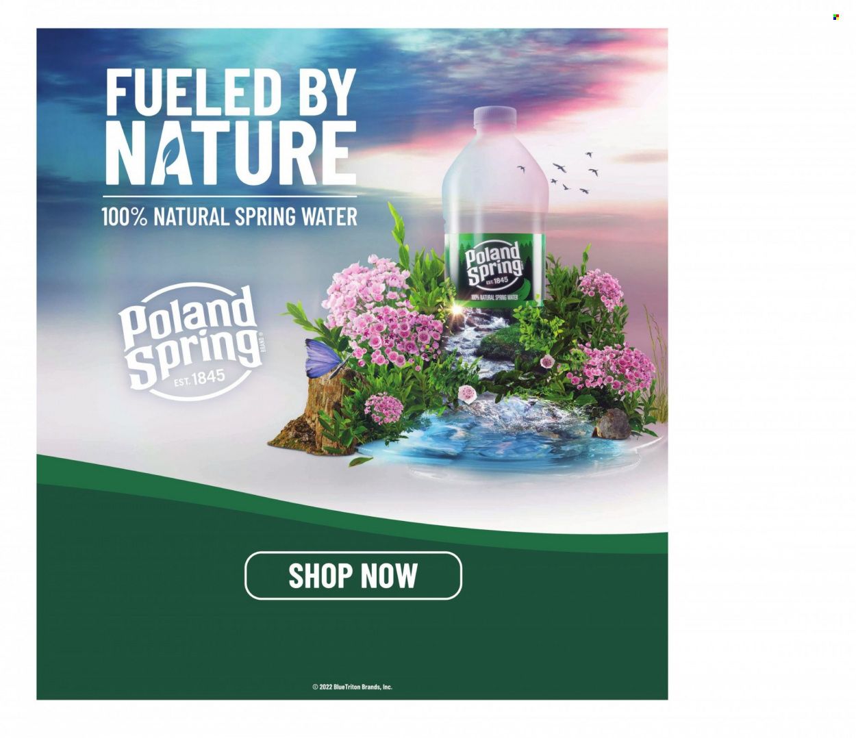 Hannaford (VT) Weekly Ad Flyer July 10 to July 17