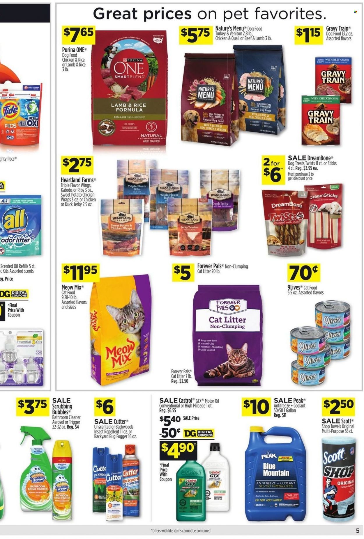 Dollar General Weekly Ad Flyer July 10 to July 17