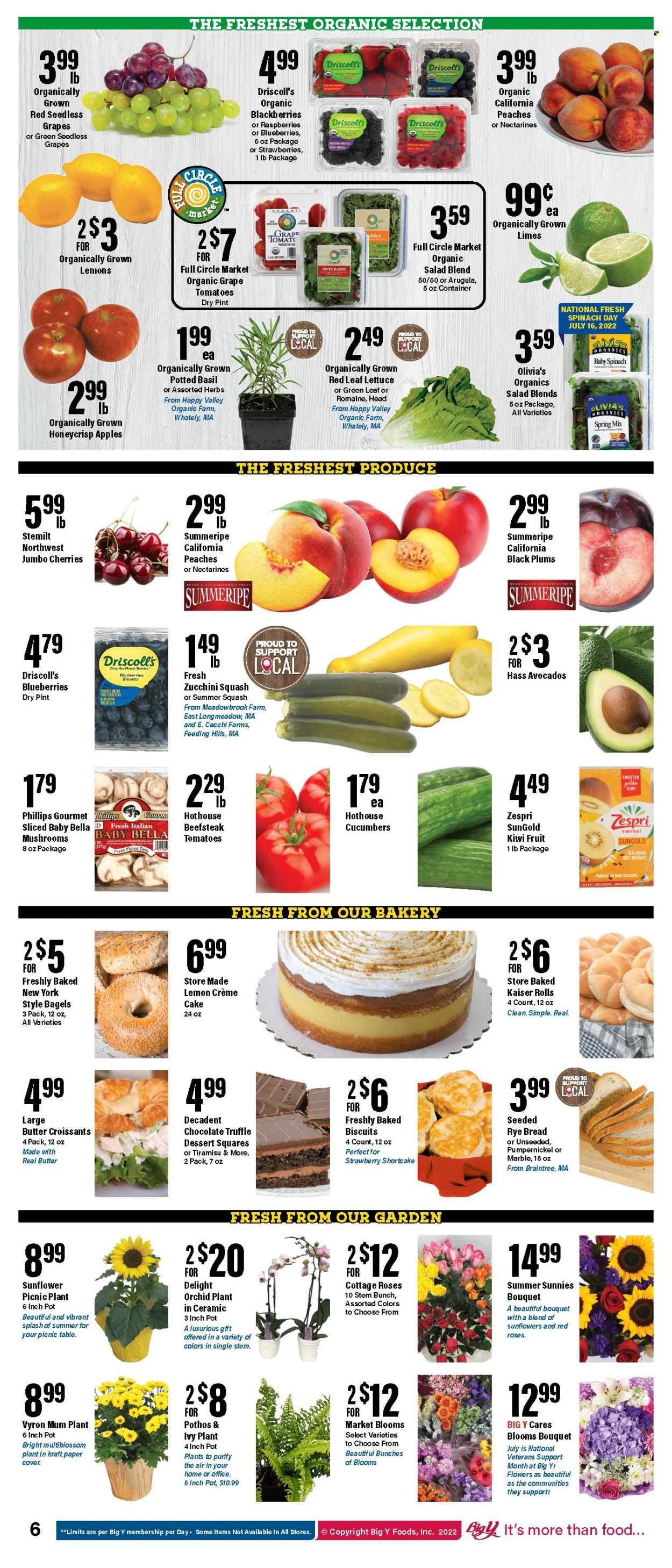 Big Y (CT) Weekly Ad Flyer July 14 to July 21